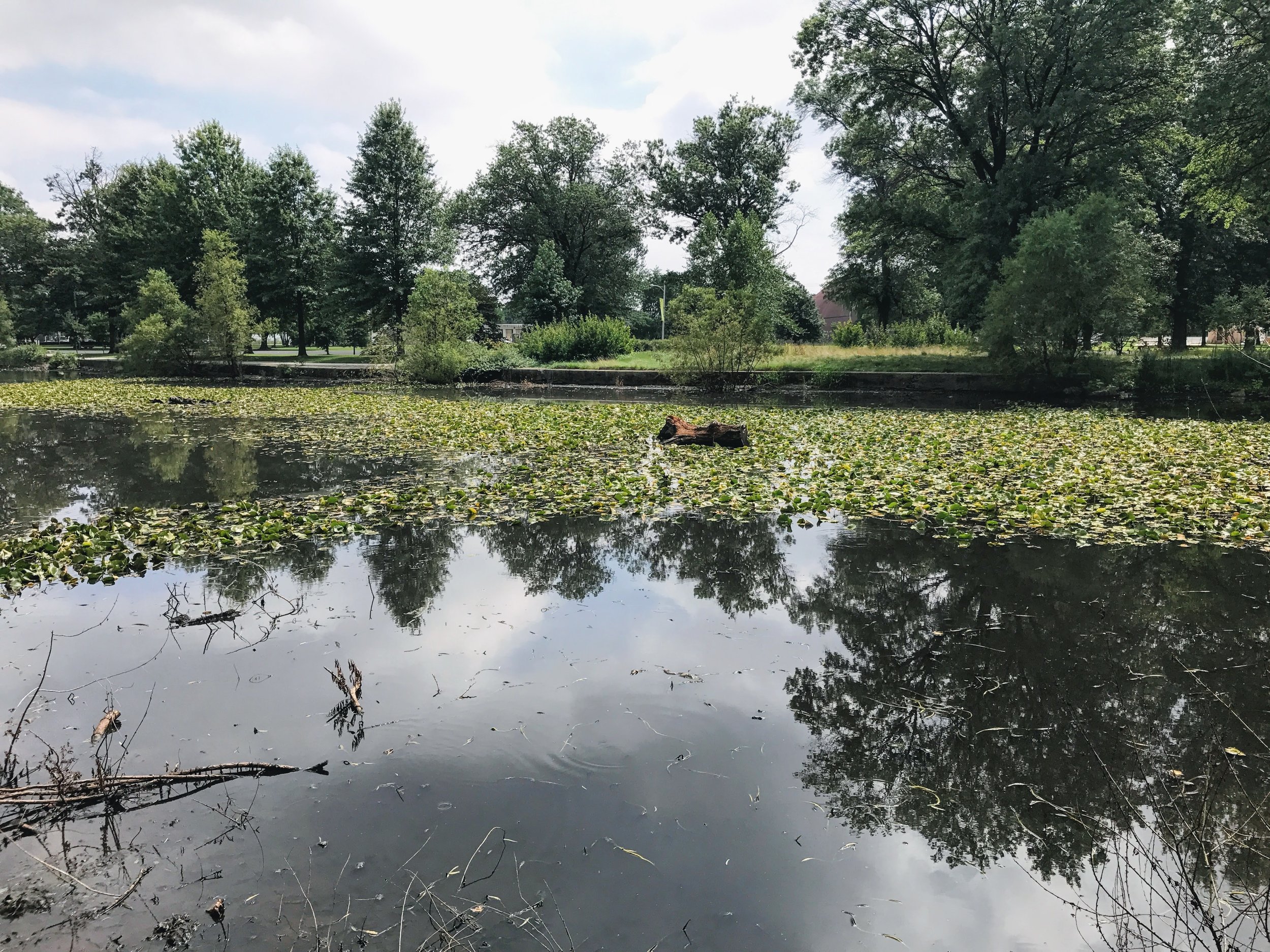 Believe it or not, this is what the site of Waltham's exhibit in Machinery Hall at the Centennial looks like today. Where you see the log in the middle of the pond, that was the approximate site of Waltham's Machinery Hall assembly line exhibit. The