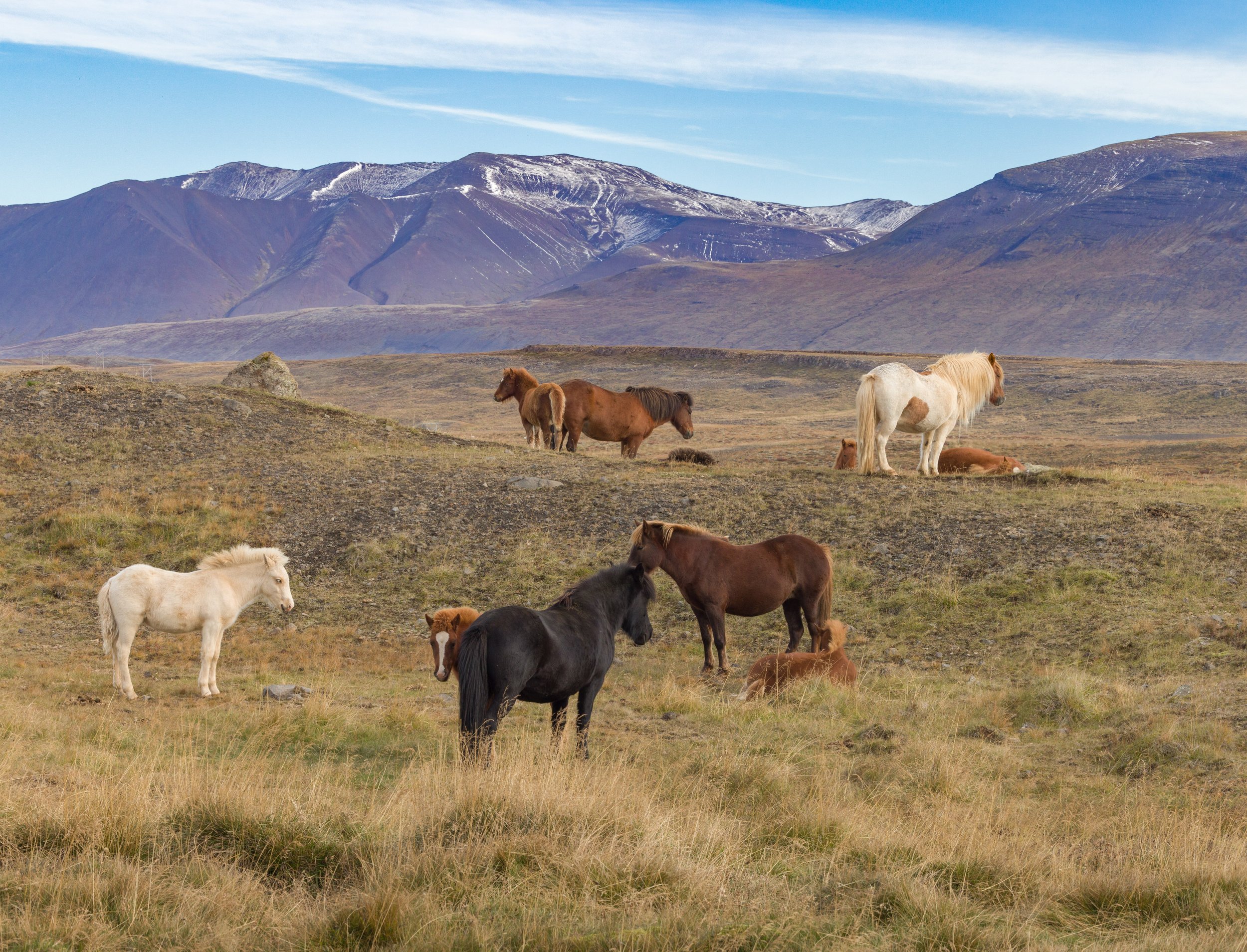 Iceland web-97.jpg