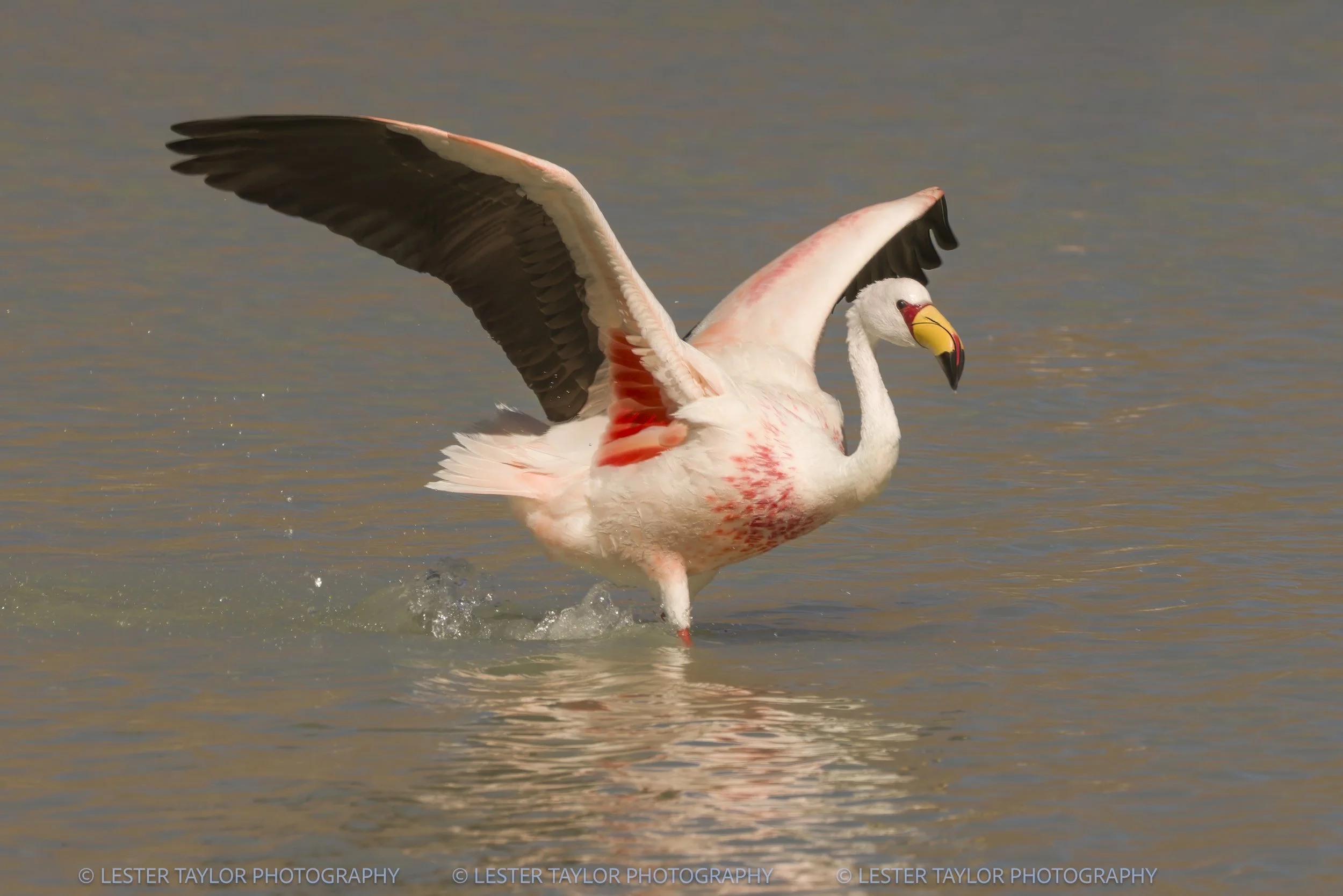 Chile and Bolivia web photos-19.jpg