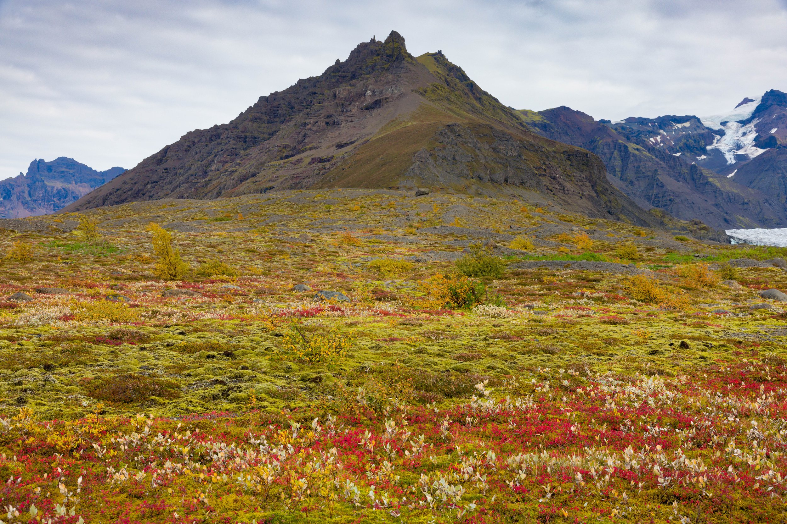 Iceland web-36.jpg