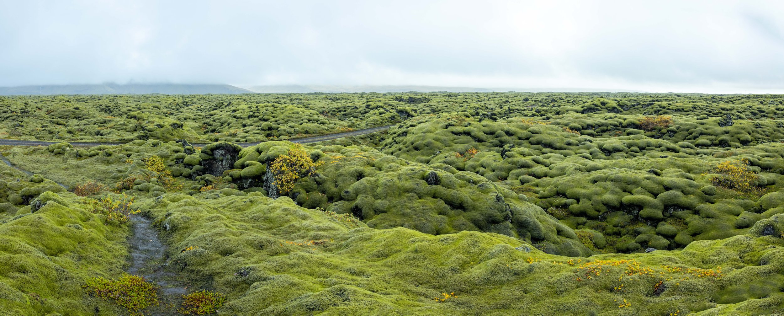 Iceland web-21.jpg
