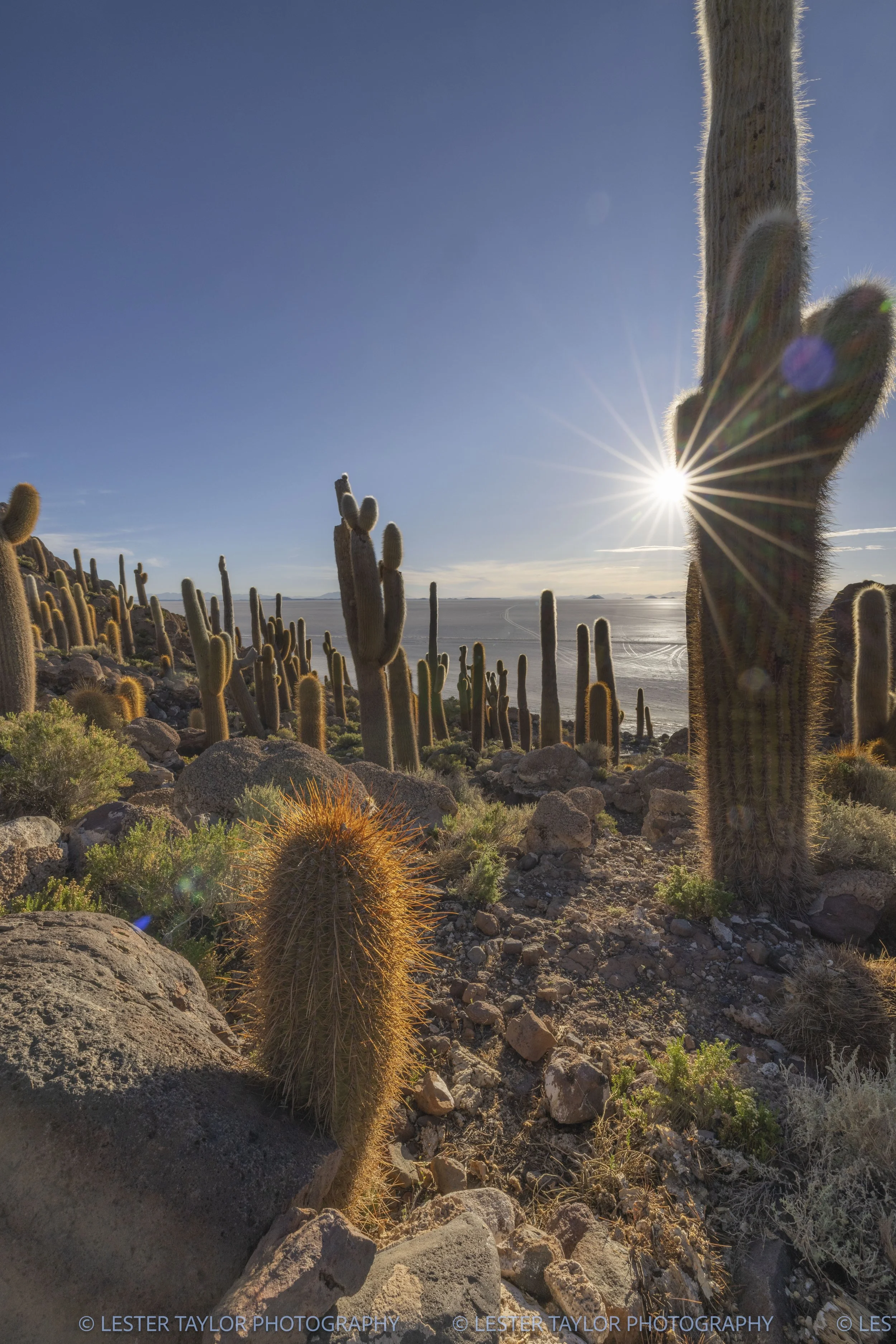 Chile and Bolivia web photos-25.jpg