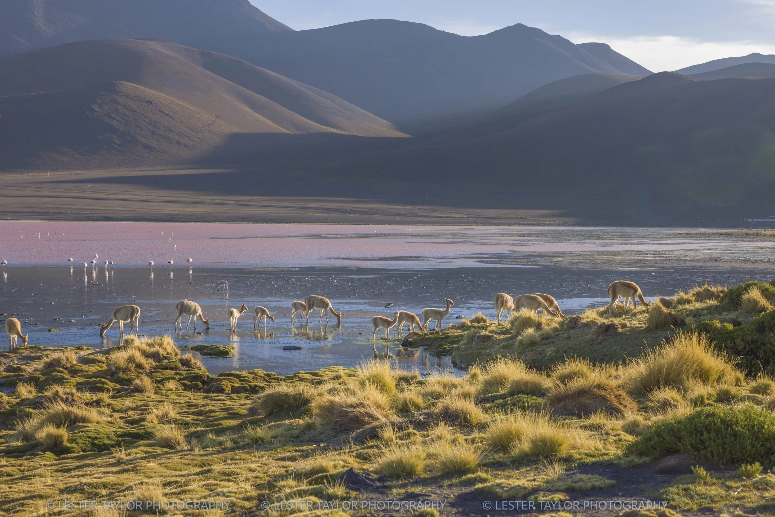 Chile and Bolivia web photos-12.jpg