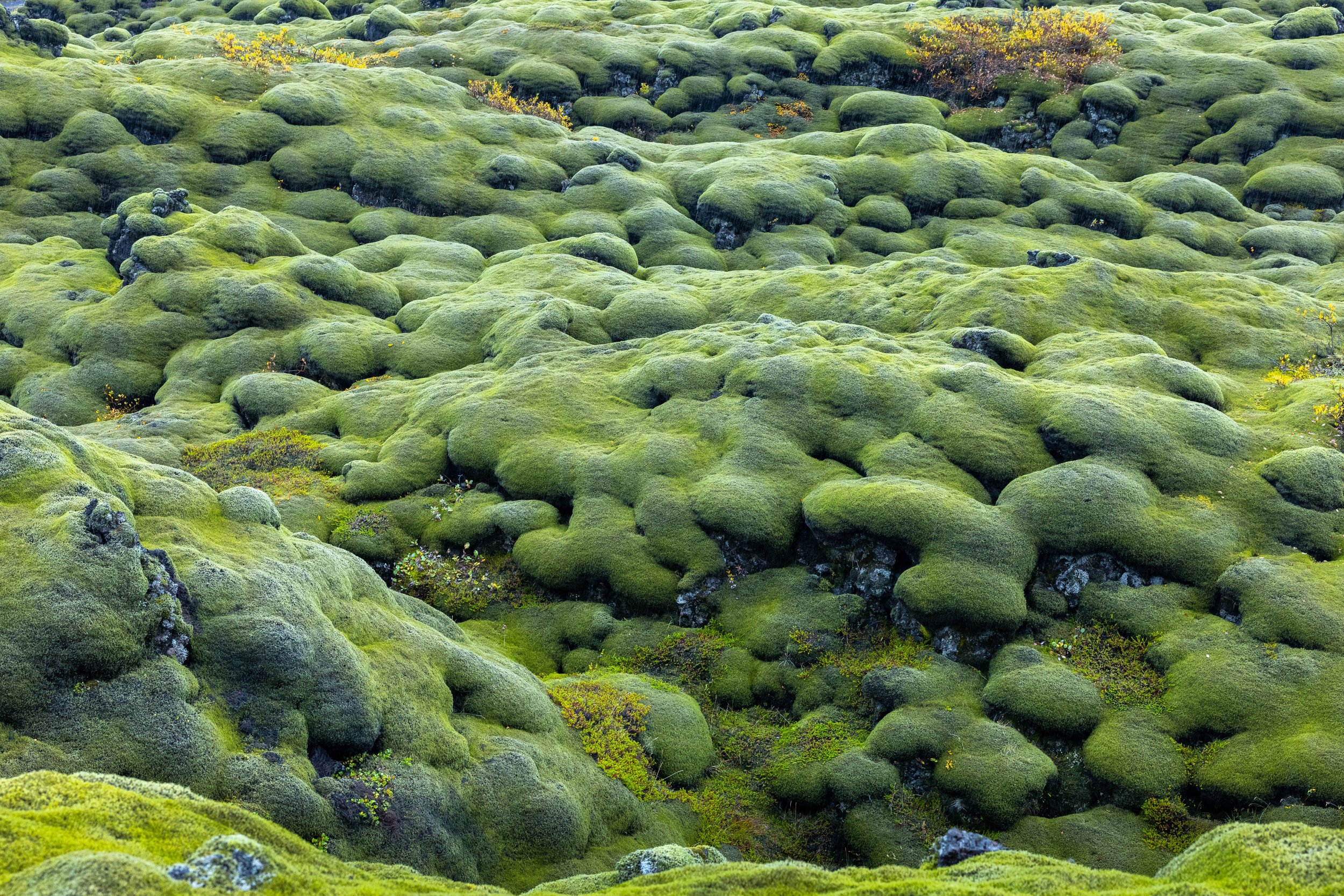 Iceland web-22.jpg