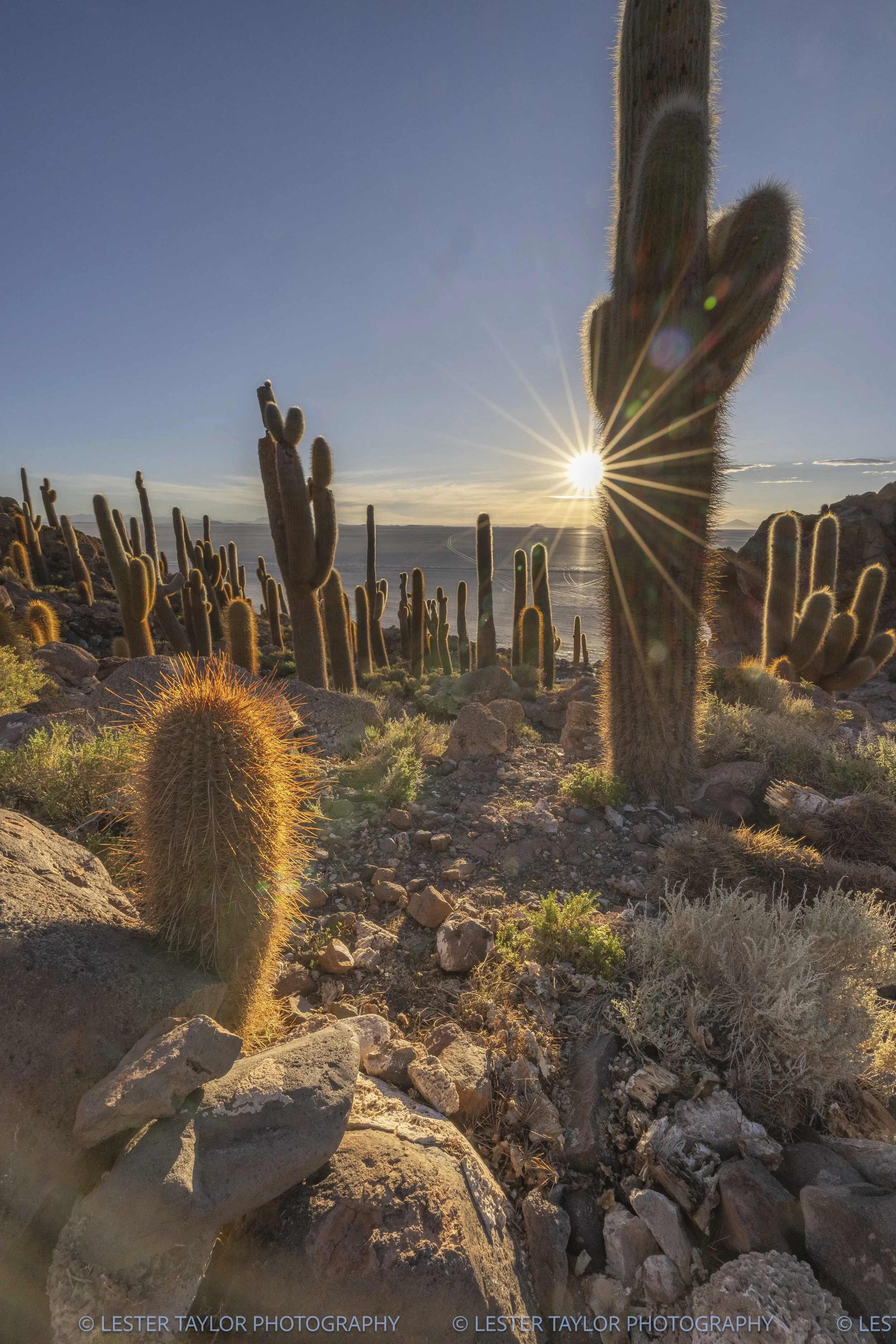 Chile and Bolivia web photos-28.jpg