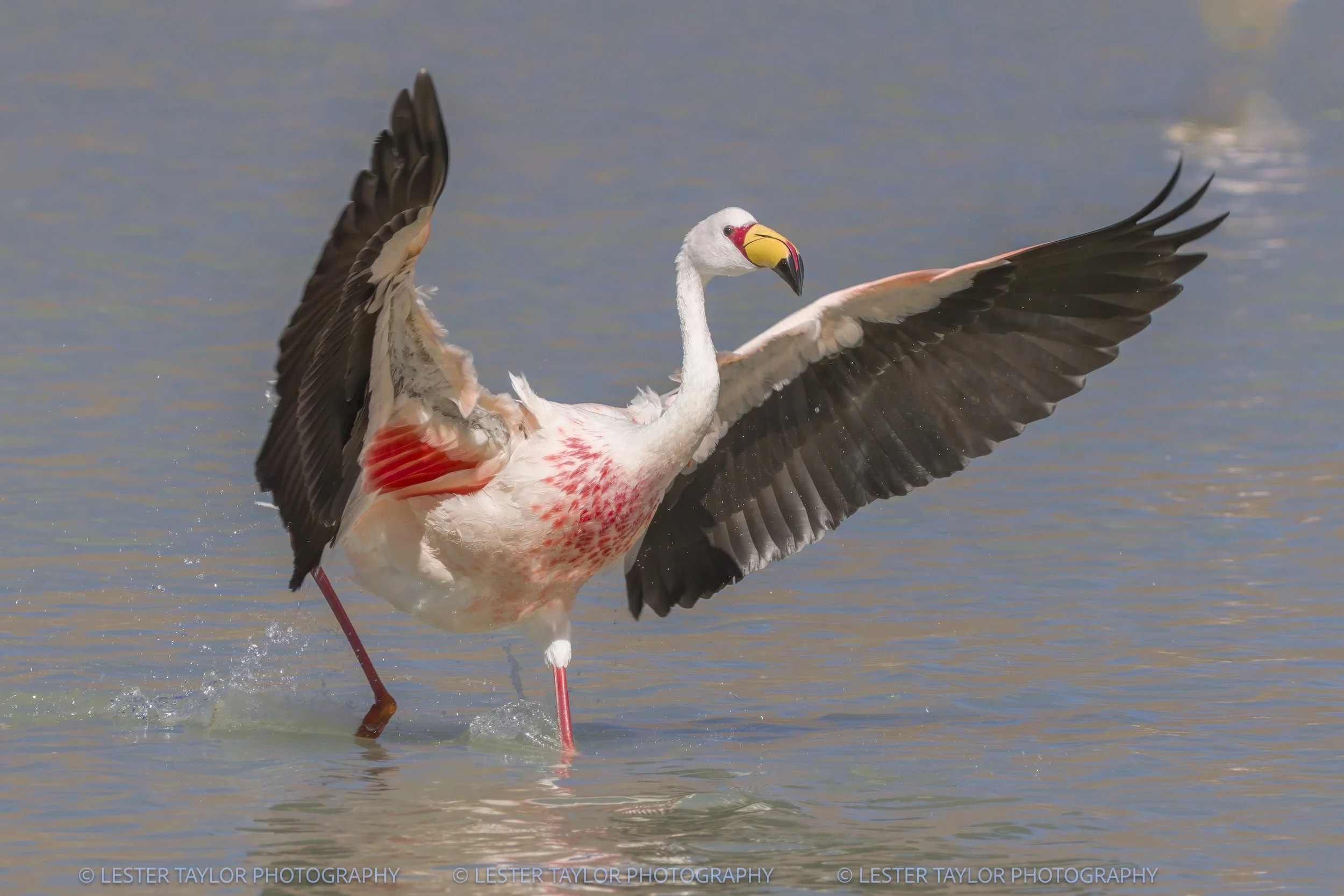 Chile and Bolivia web photos-18.jpg