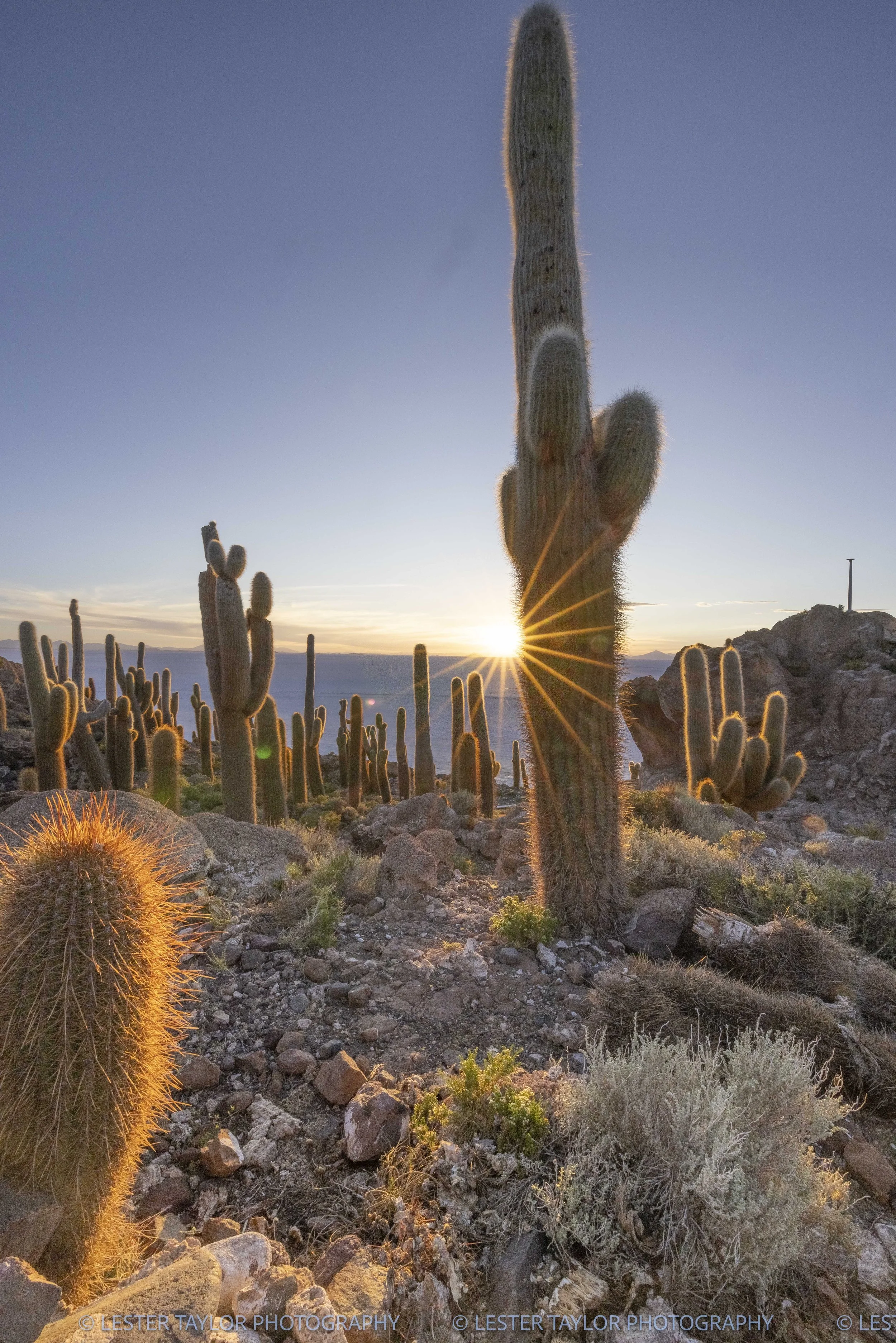 Chile and Bolivia web photos-29.jpg