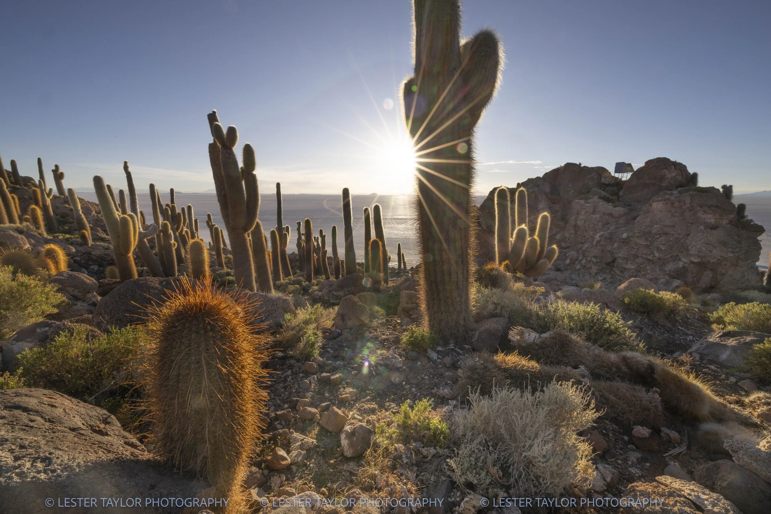 Chile and Bolivia web photos-27.jpg