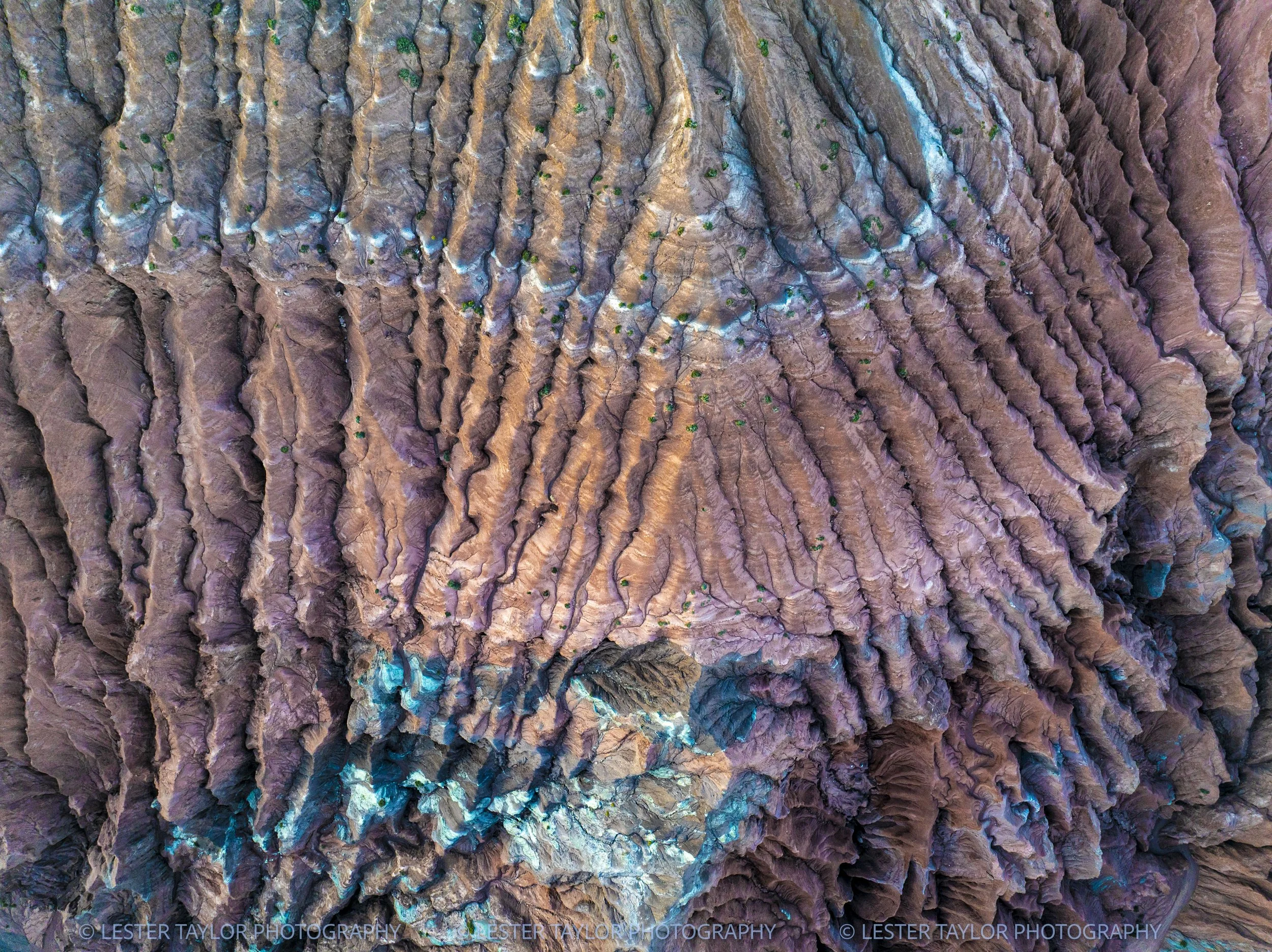 Chile and Bolivia web photos-6.jpg