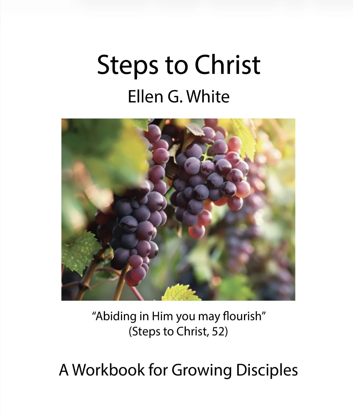 Cover Picture Steps to Christ.jpg
