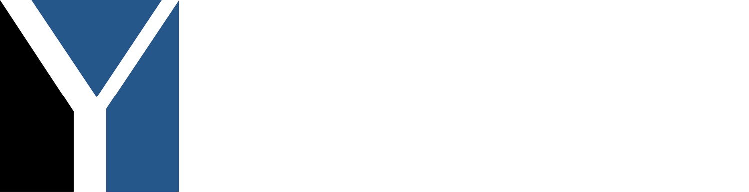 YoungAccounting