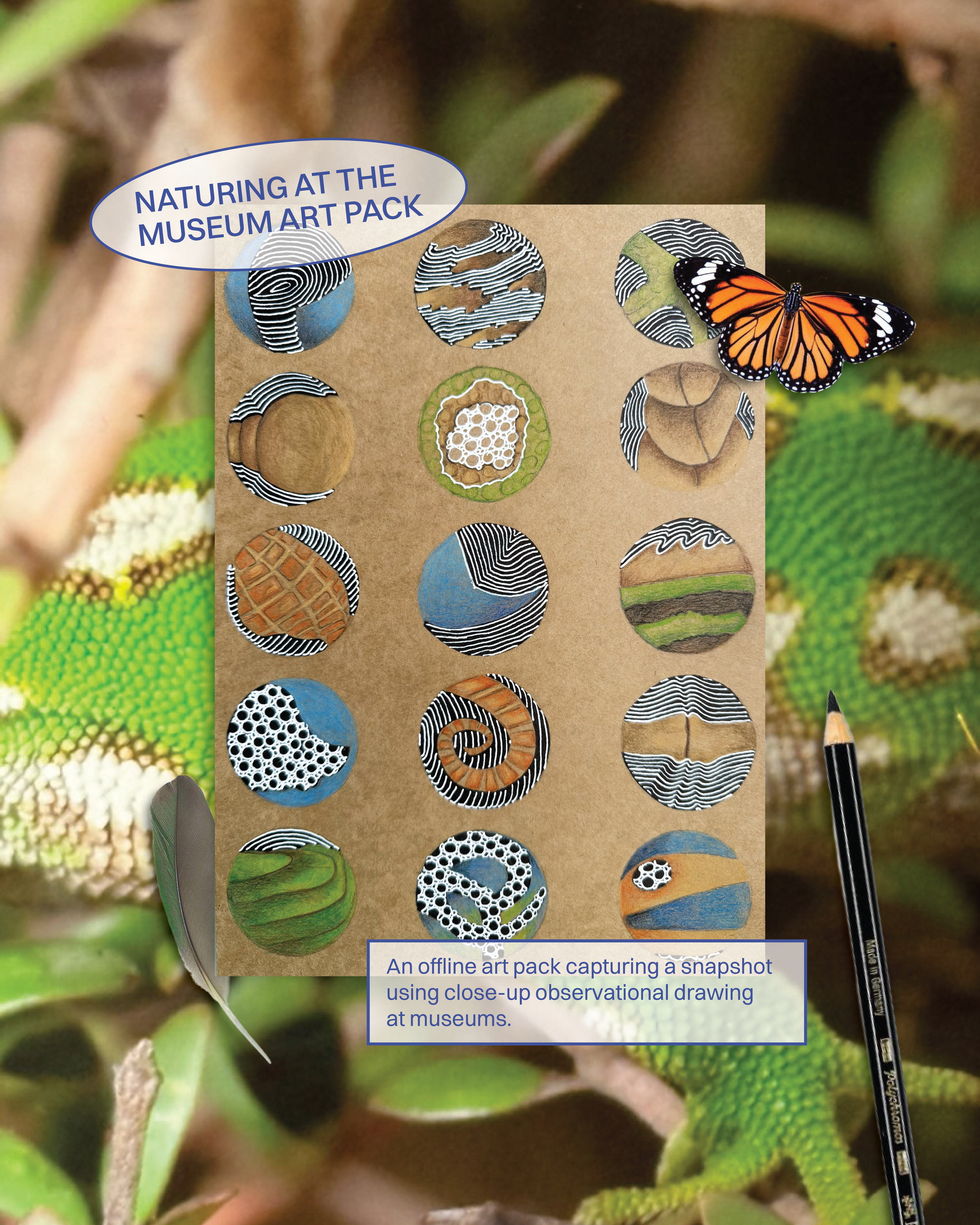 Art pack to use at Otago Museum