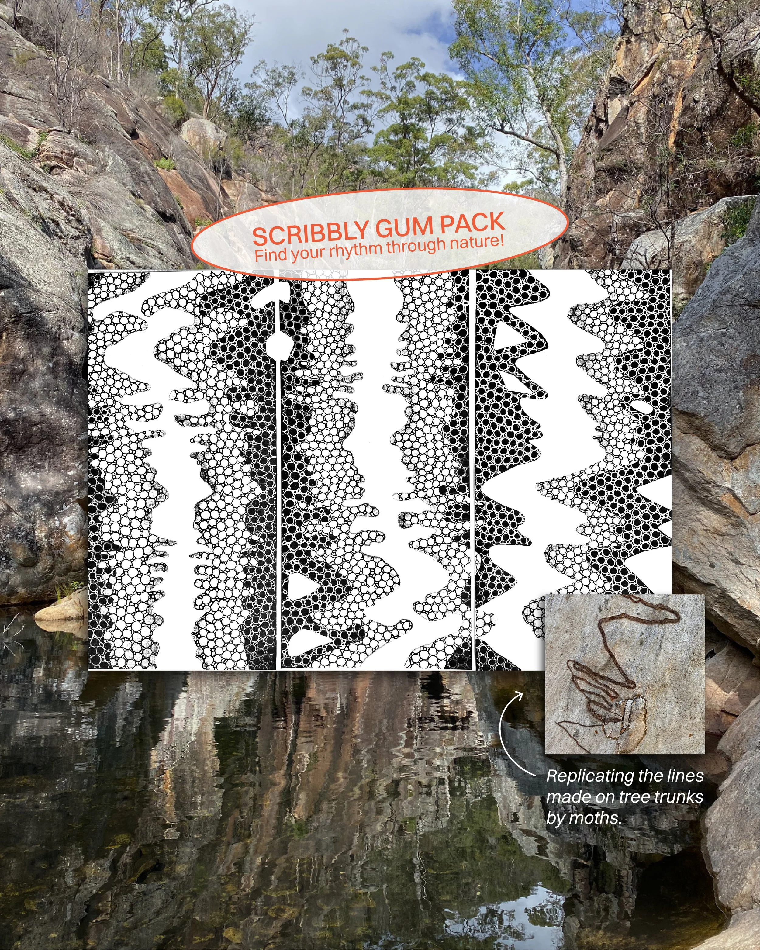 Art for Busy People's Scribbly Gum art pack, nature inspired art lessons