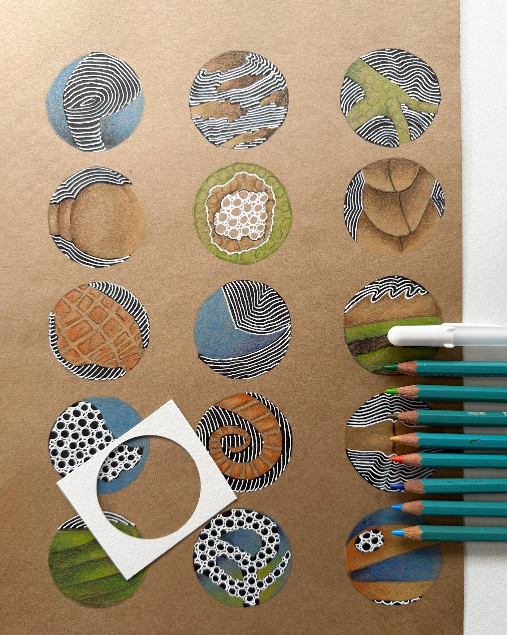 Close-up of pencil lines forming a detailed sketch of a museum specimen, made using the Naturing at the Museum Art Pack.