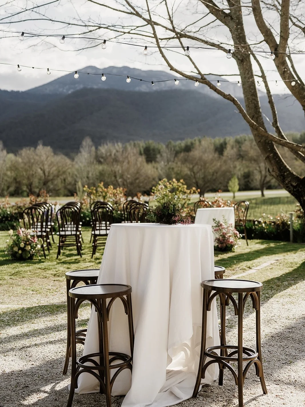 Dreaming of vineyard views and timeless details 🍇✨
Our Walnut Bentwood Chairs and Stools pair effortlessly  to create that warm, European garden-party feel.
Perfect for intimate ceremonies, cocktail hours, and long lunches under the trees.

Style ma