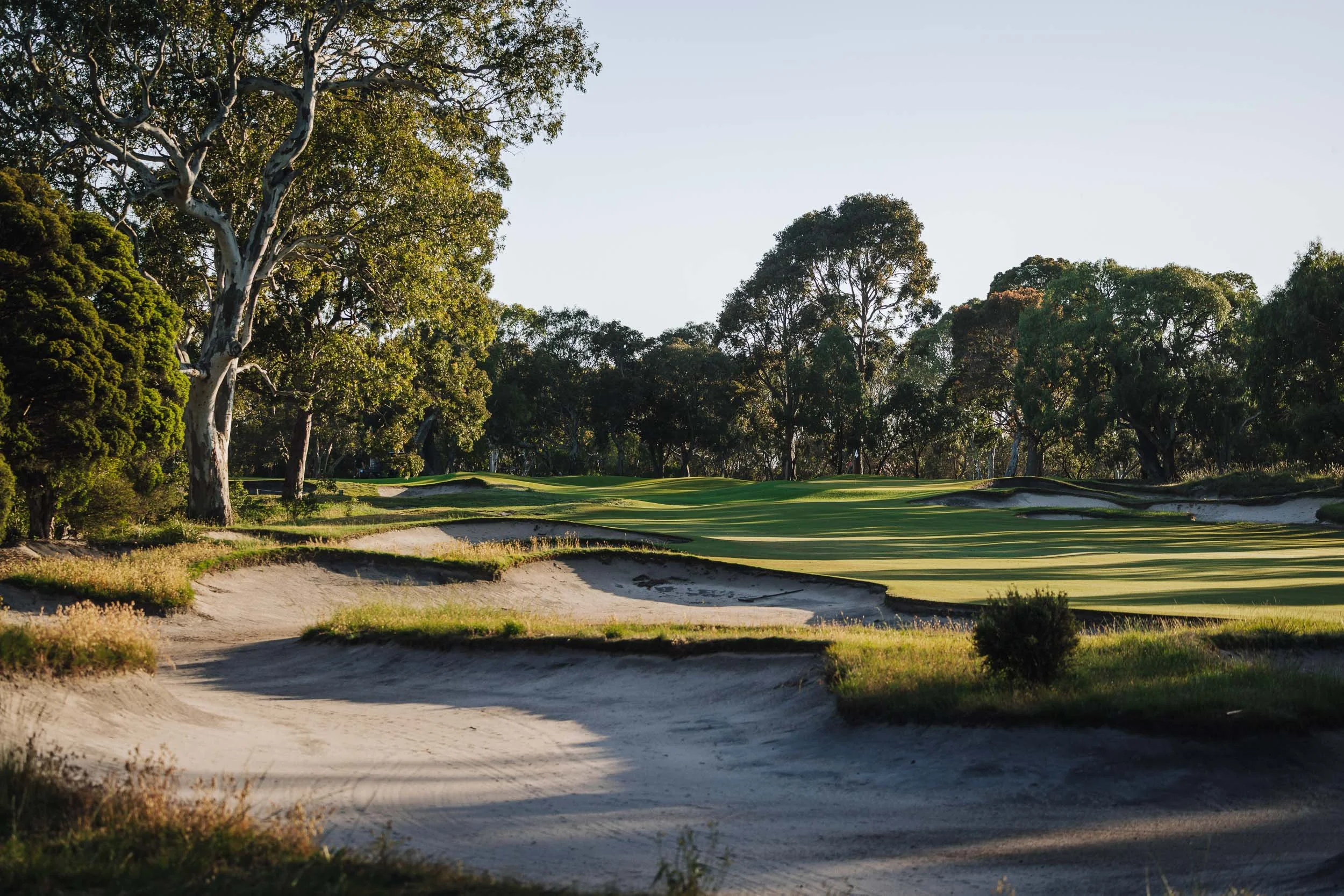 Woodlands Golf Club Experience