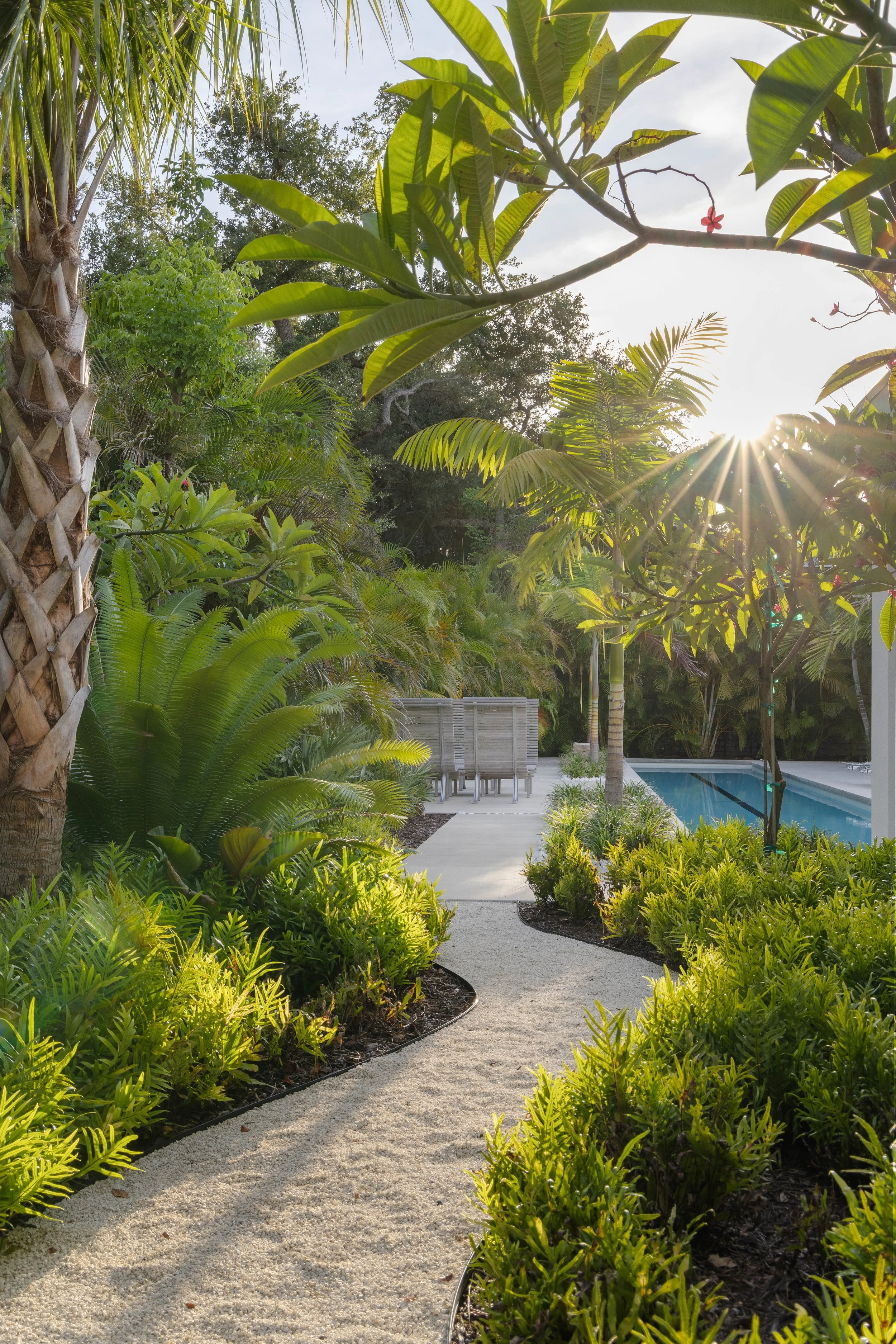 Sarasota Modern Landscape Architecture - OLA - No. 14.JPG