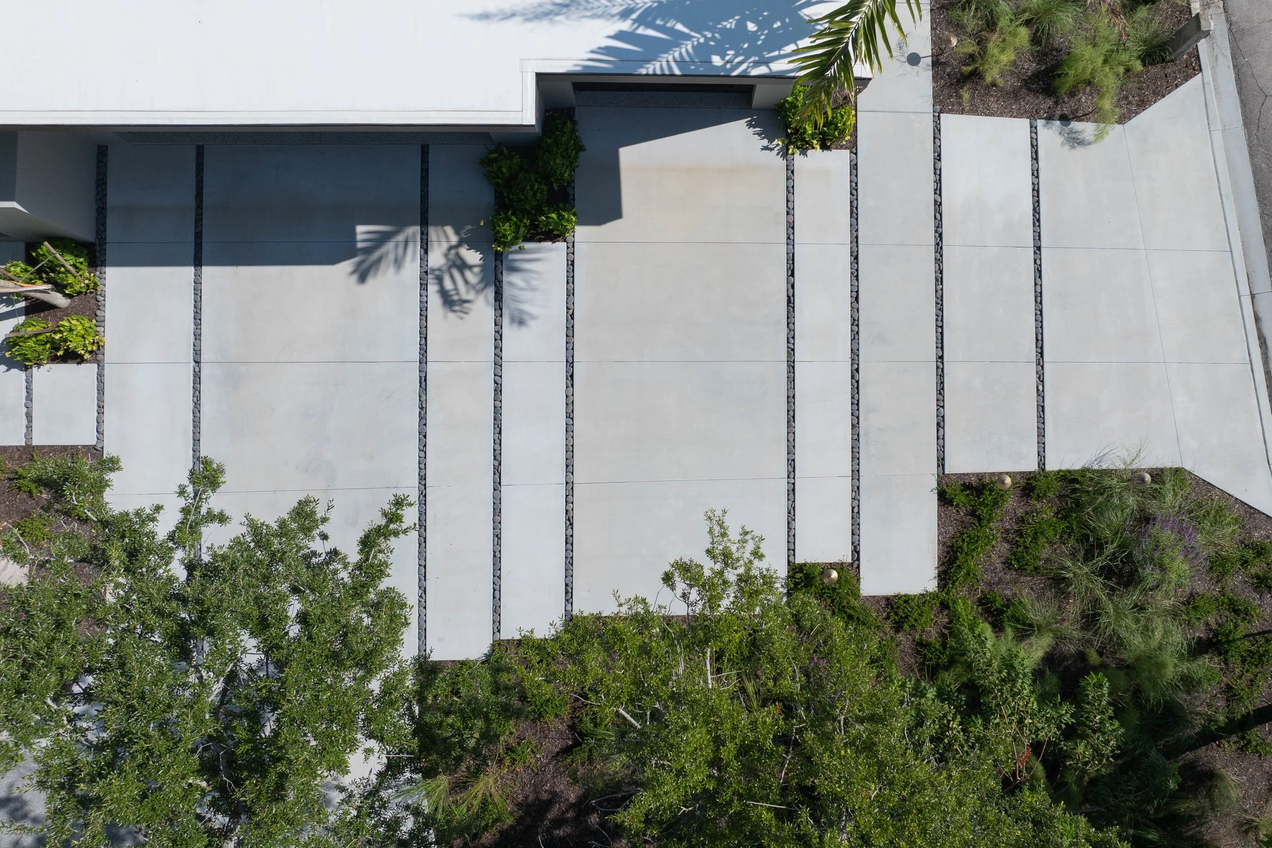 Sarasota Modern Landscape Architecture - OLA - No. 04.JPG