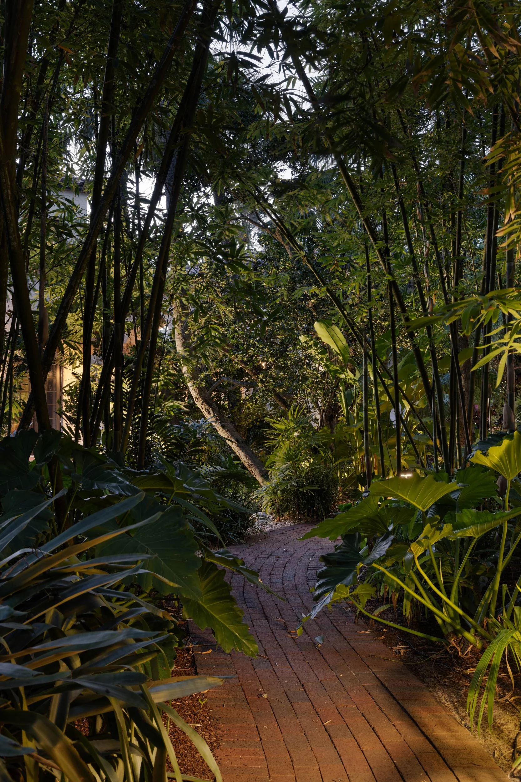 Cathy's Garden - OLA - Sarasota Landscape Architecture - 20.JPG
