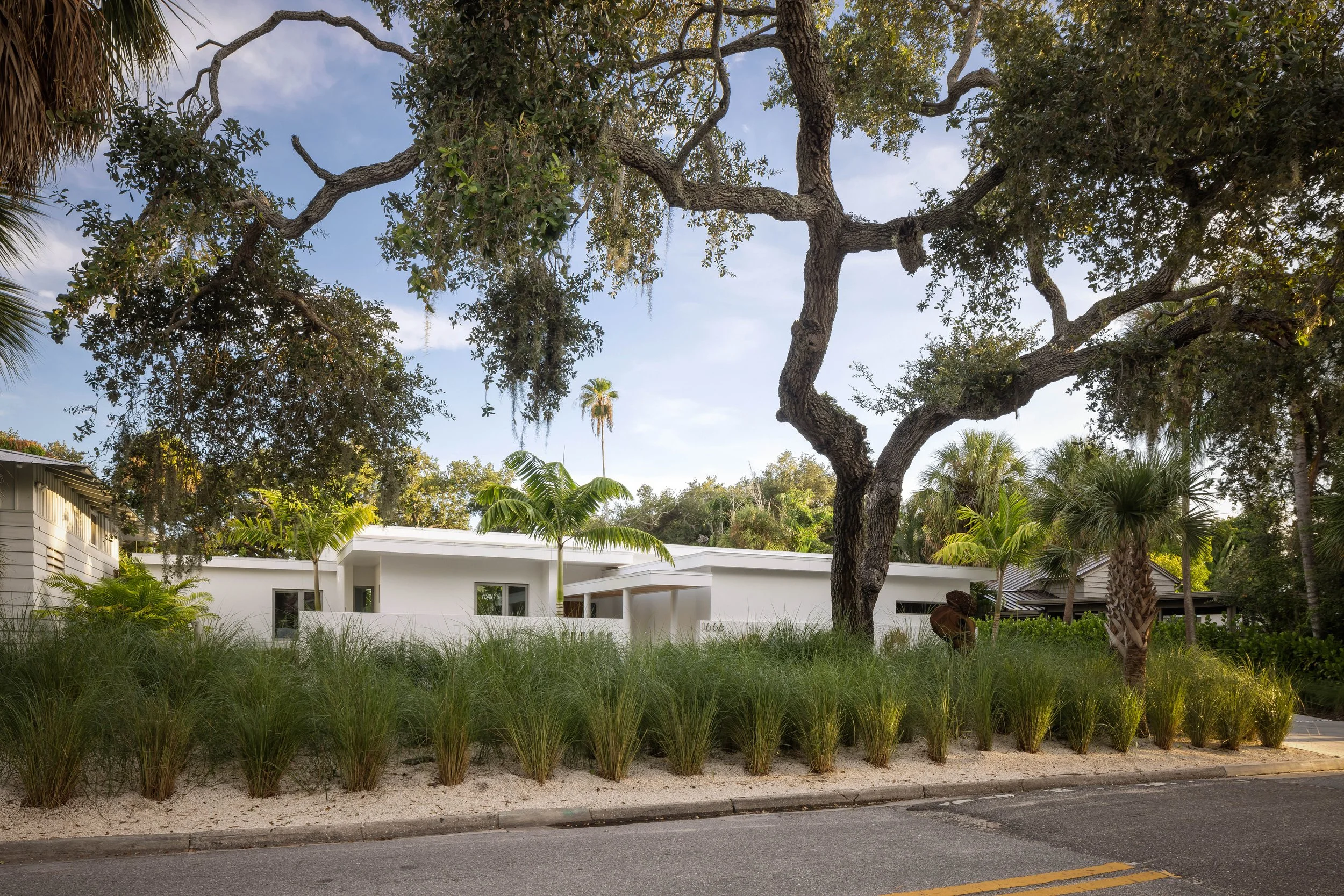 Sarasota Modern Landscape Architecture - OLA - No. 15.JPG