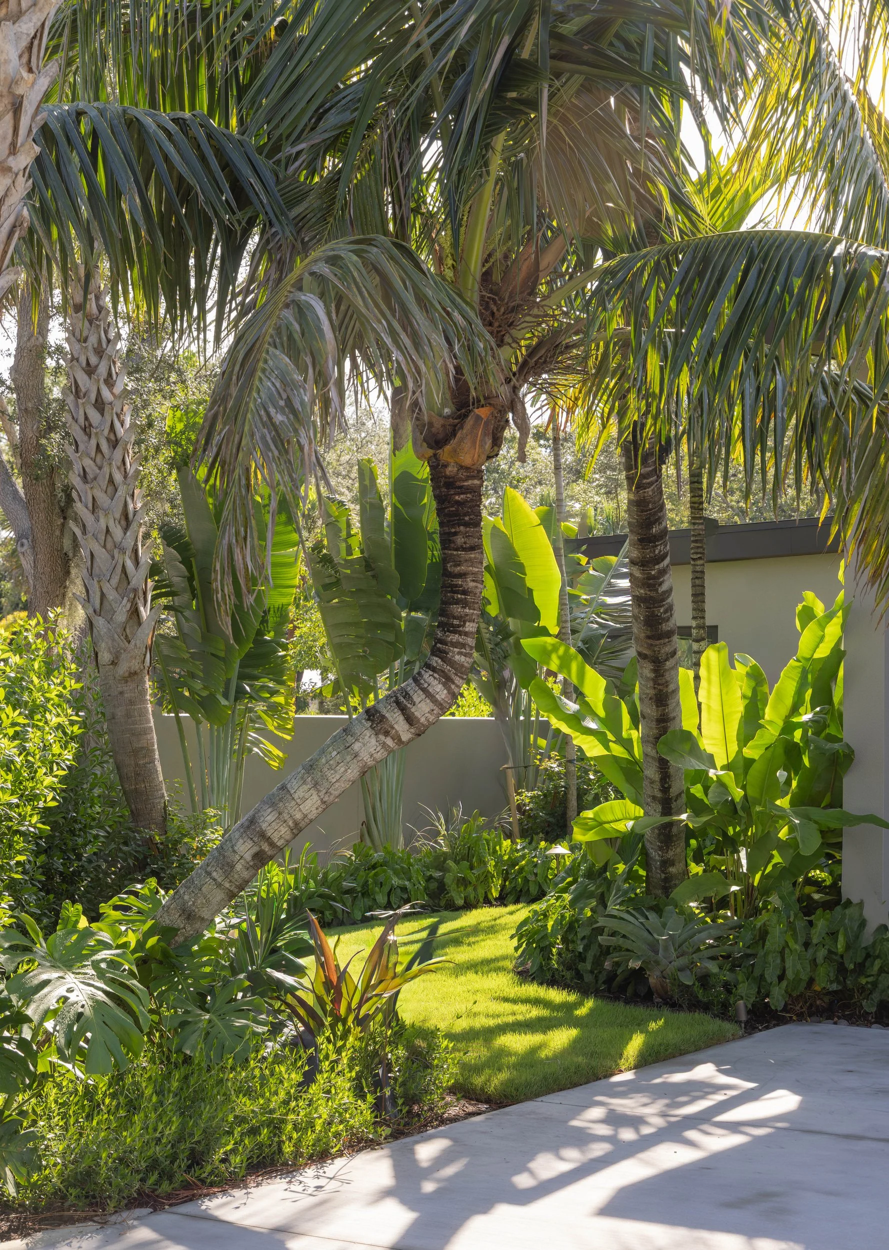 Sarasota Modern Landscape Architecture - OLA - No. 12.JPG