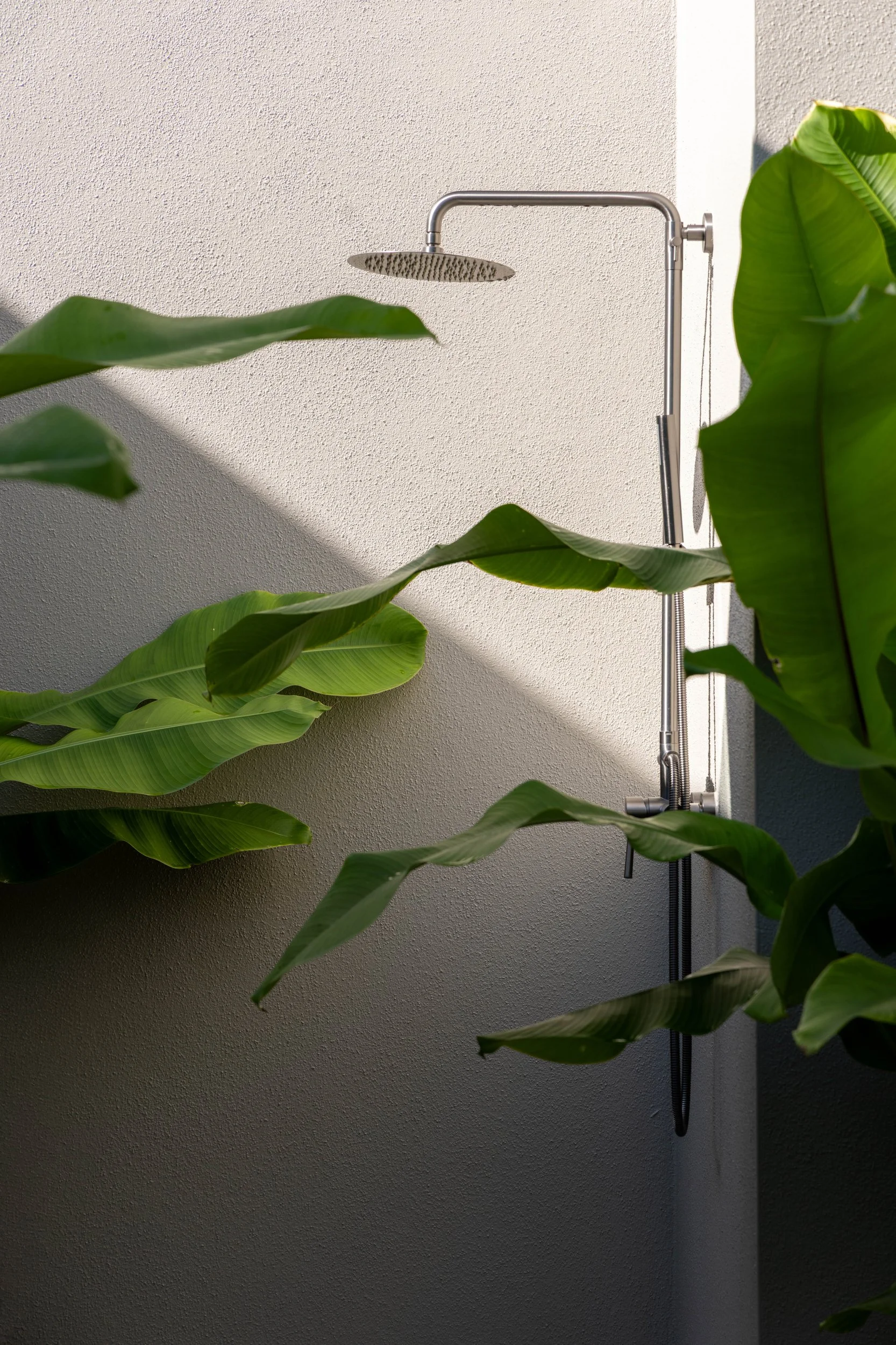 Sarasota Modern Landscape Architecture - OLA - No. 20.JPG