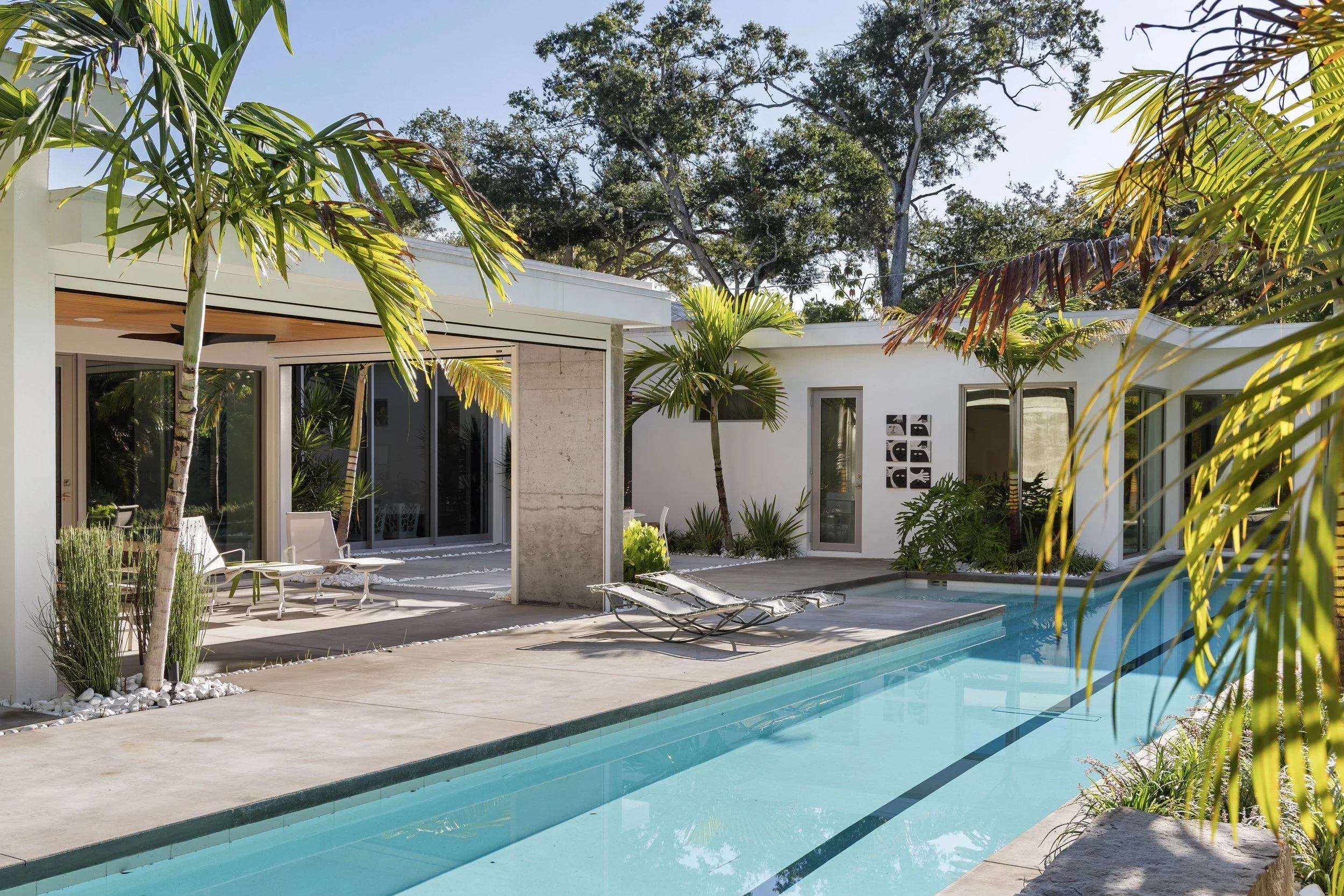Sarasota Modern Landscape Architecture - OLA - No. 06.JPG