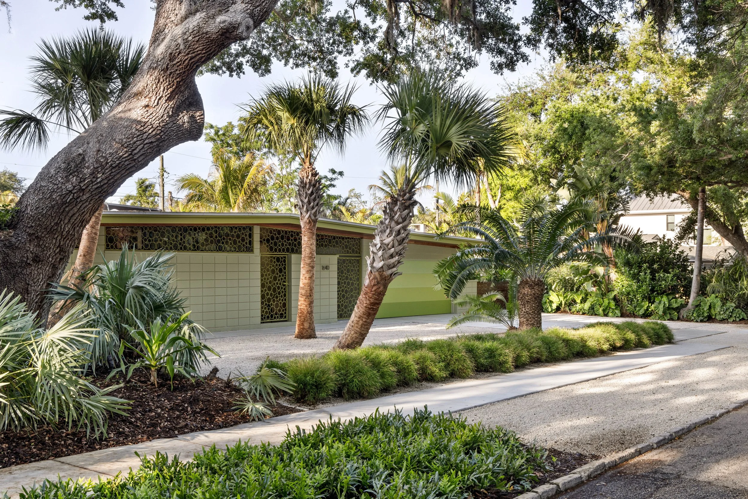 THE CANOPY HOUSE