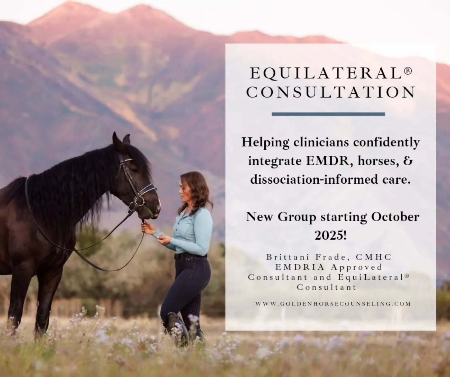 What does it mean now that I'm an EquiLateral&reg; Consultant??

Specialized EquiLateral&reg; Consultation!

This specialized consultation is designed for clinicians who have trained in EquiLateral&reg; and want to refine their skills, deepen their c