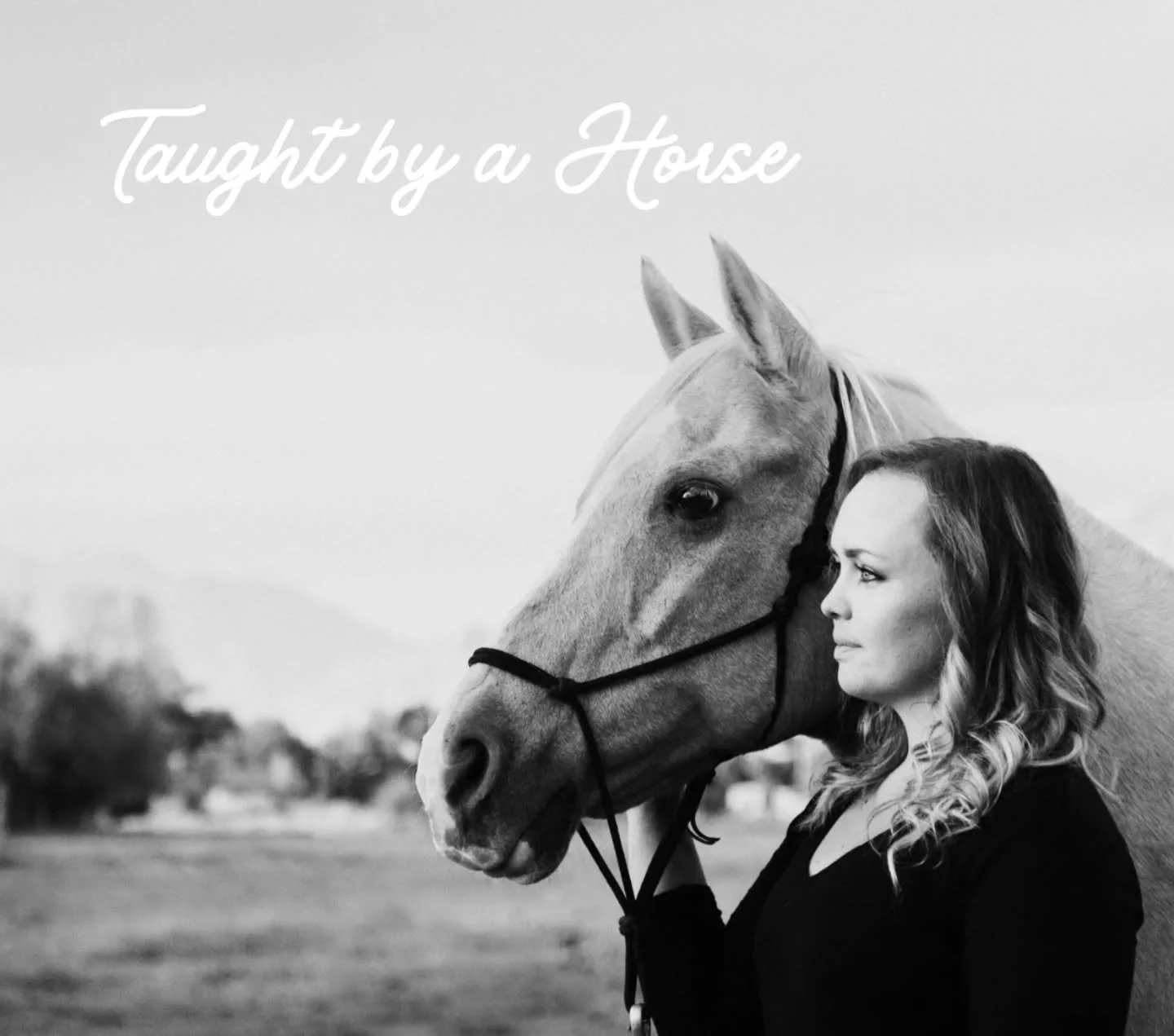 Honored doesn&rsquo;t begin to cover it. Yesterday I had the privilege of speaking about the teachers who have shaped my life most deeply- horses. 

I shared stories of how I was taught by a horse, and how their wisdom continues to move through my wo