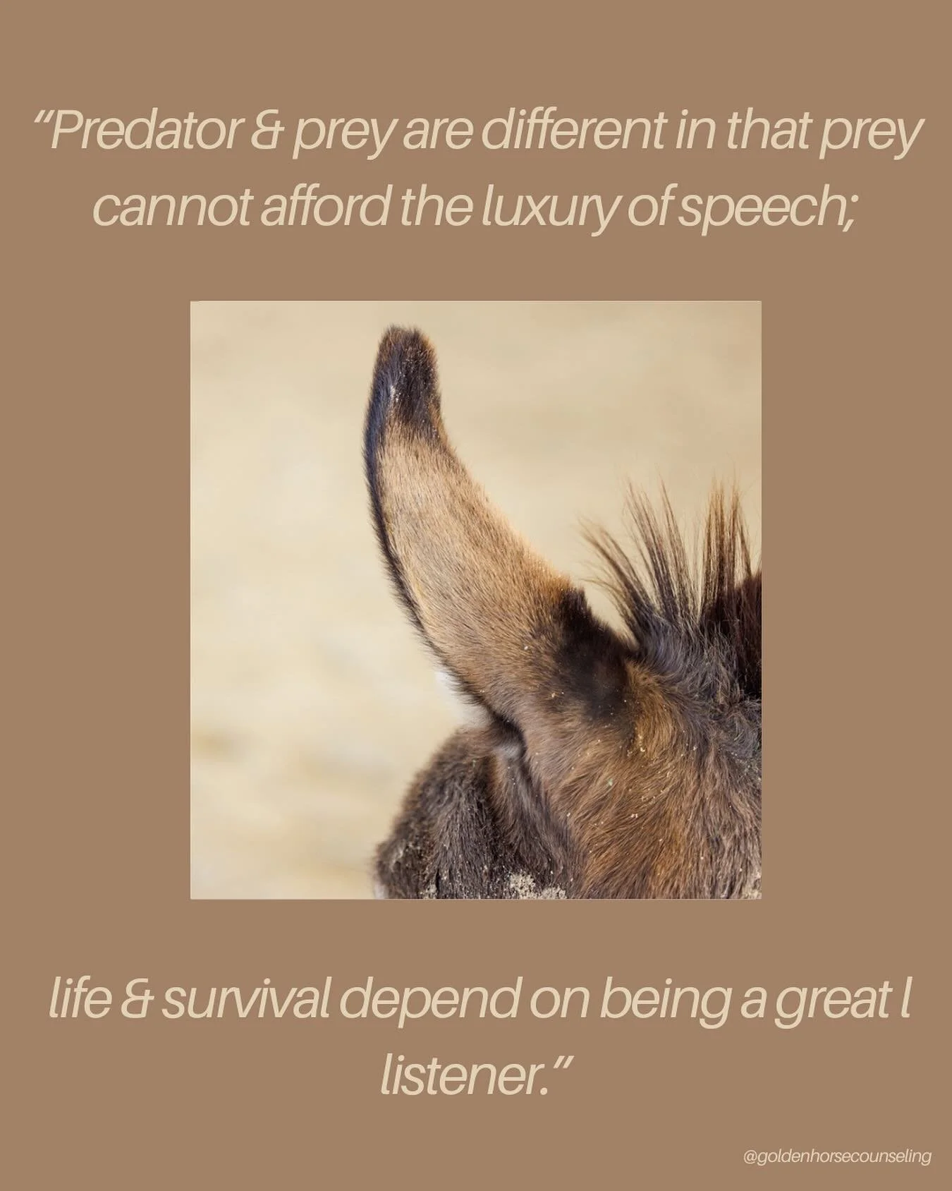Language is more than words &mdash; it is the body, the breath, the glance that says &ldquo;you are safe here.&rdquo; Horses teach us this, and if we listen, we can embody it too.
.
.
.
#utahtherapist #equineassistedtherapy #emdr #eaemdr #horses
