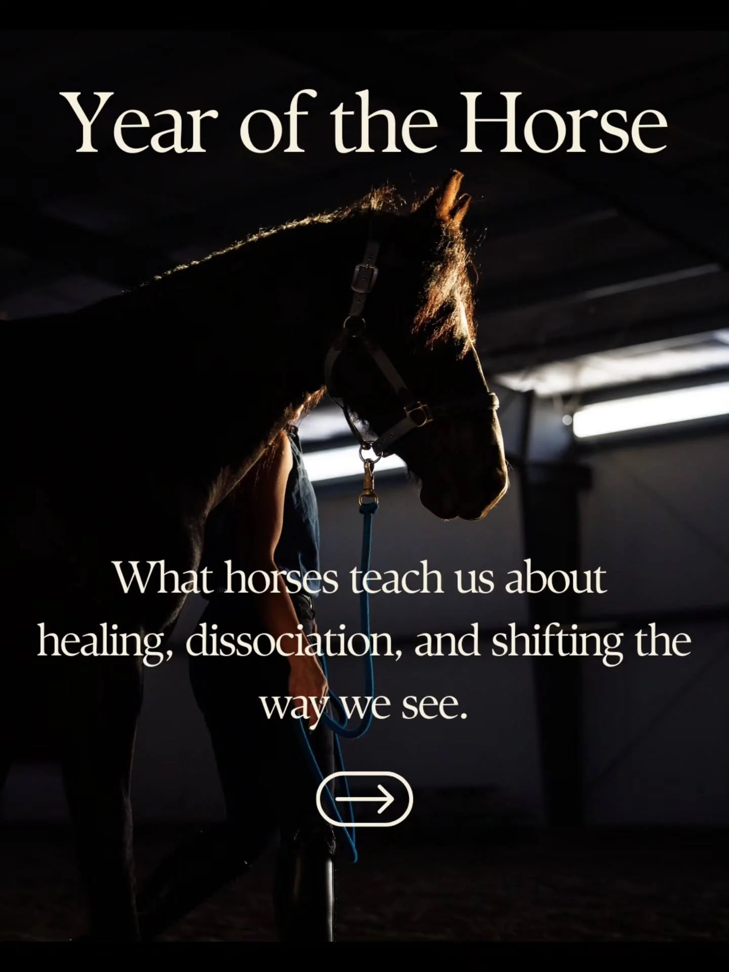 Horses have always been my teachers.
I learned early to ask, &ldquo;You are the teacher&mdash;what is the lesson?&rdquo;
They&rsquo;ve shaped the way I read energy, track dissociation, and understand what&rsquo;s happening beneath the surface.

This 