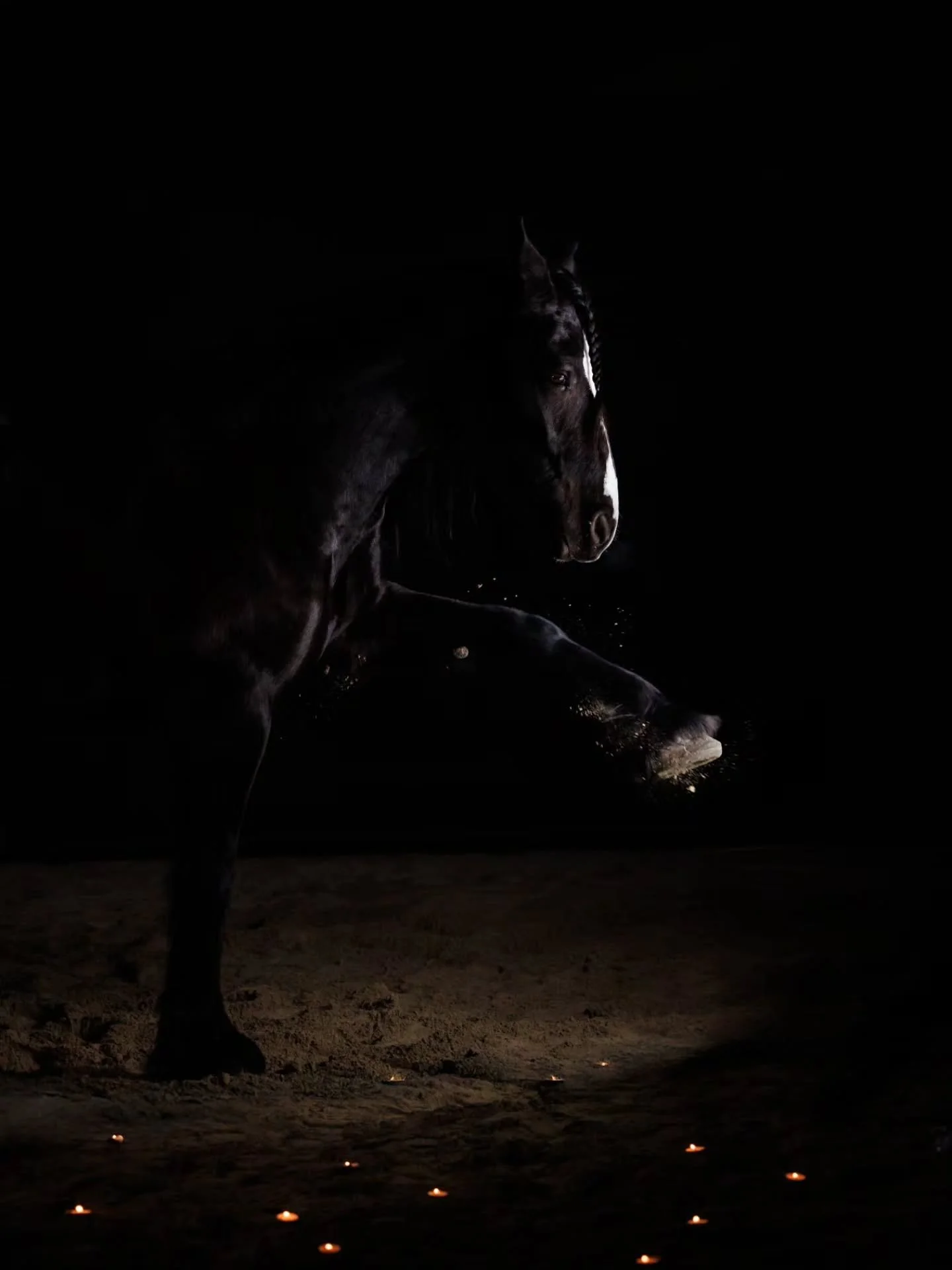 If this Year of the Fire Horse is anything like Saint&hellip;
we&rsquo;re not easing in.

We&rsquo;re entering at a medium canter down the long side.

Saint doesn&rsquo;t do half-presence.
She doesn&rsquo;t dim.
She burns clean, fast, honest.

She&rs