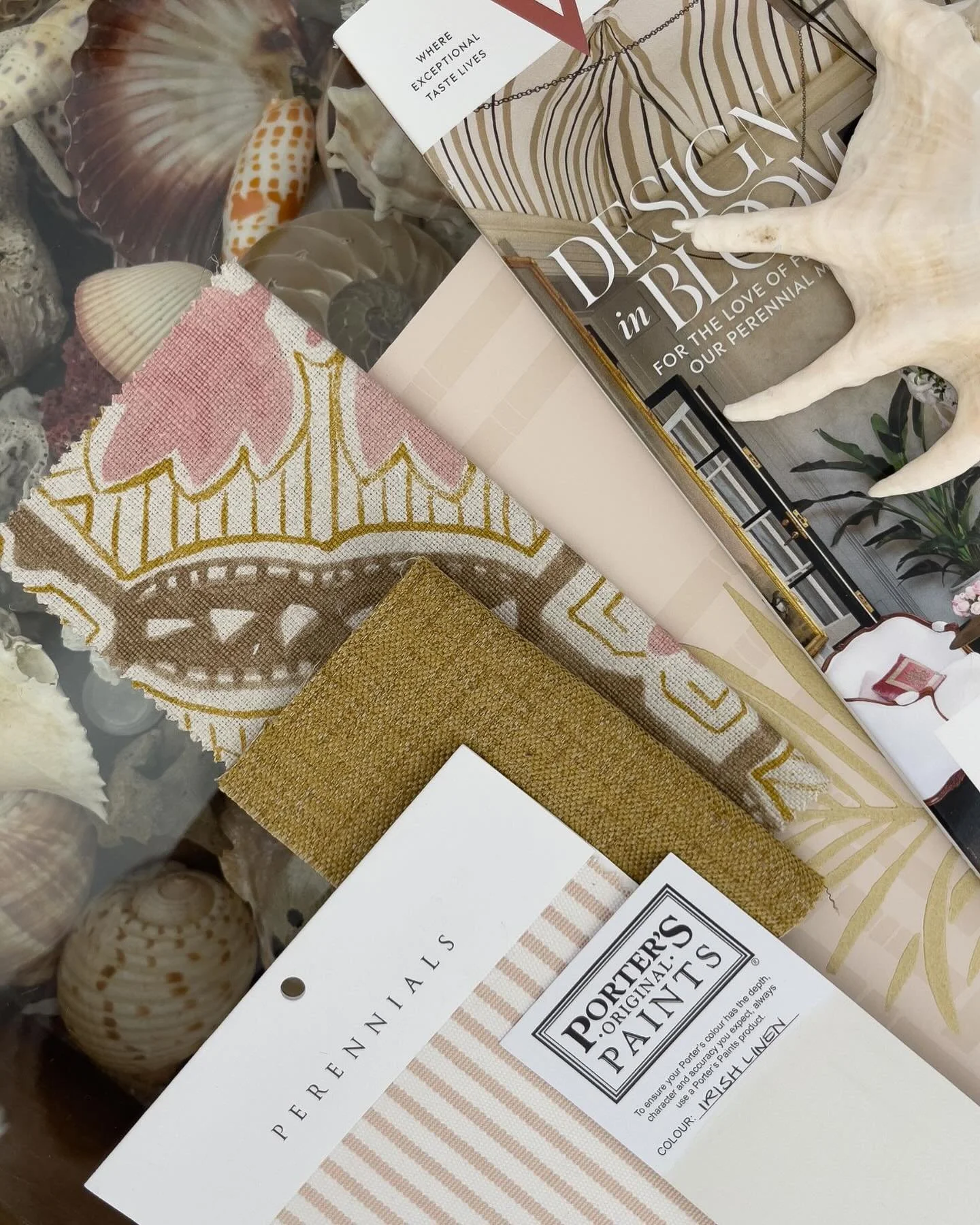 &bull; Sea side &bull; Palette of soft sea shell pink, taupe and warm whites 🐚 

#tradewinds #seasideinteriors #seasidehouse #beachhouse #mermaidwaters #goldcoastinteriors #coastaldecorating #australiandesigner