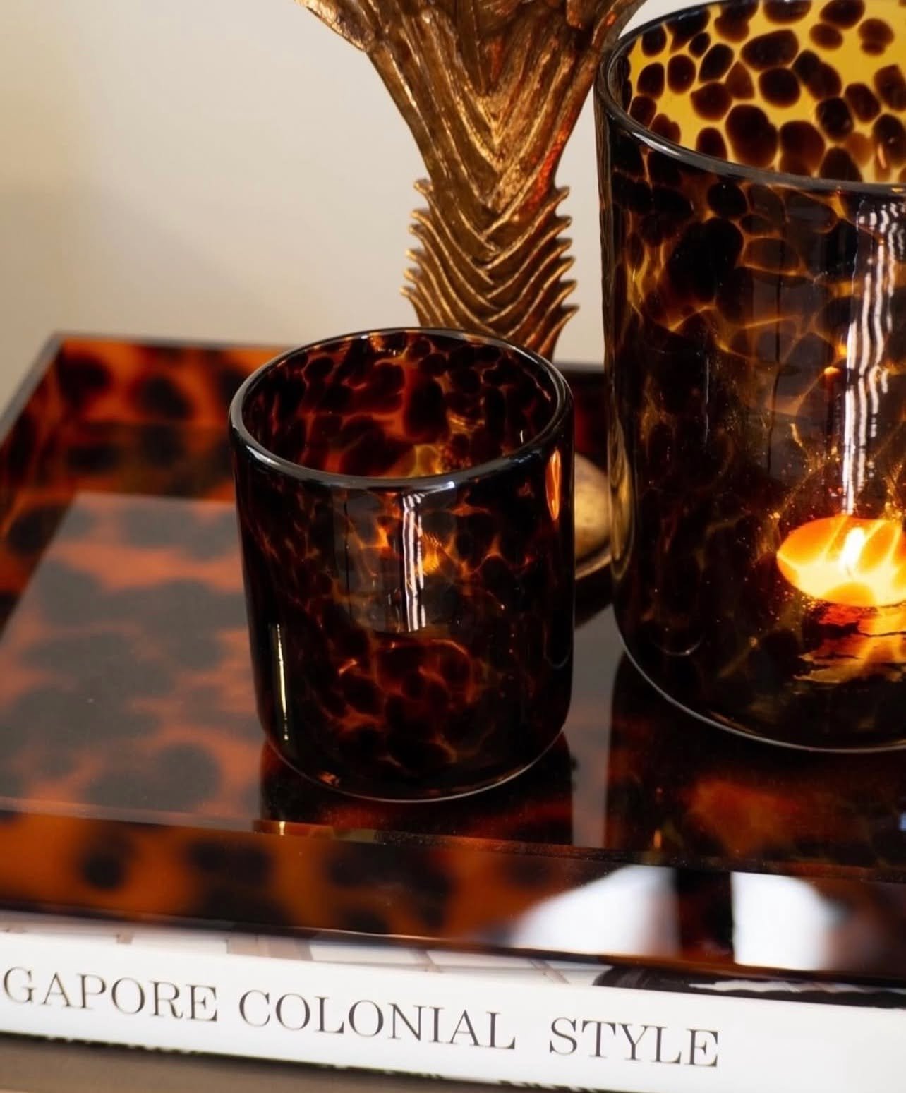 Tortoiseshell: the neutral with a little attitude.

#tradewindsdesign #interiordesign  #interiordecor #interiorstyling #interiordecorating  #goldcoastinteriors #luxurydesign #queenslandhomes #britishcolonial