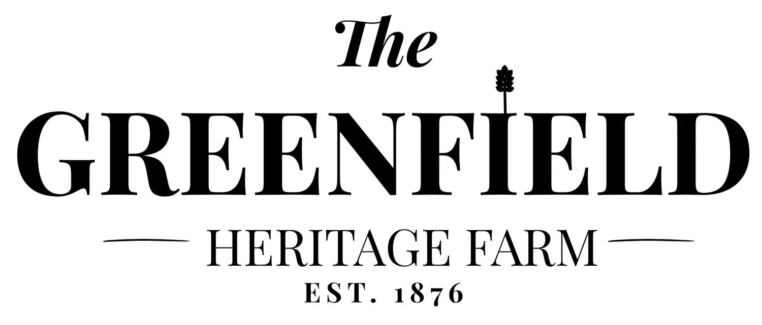 Greenfield's Oak Tree + The Greenfield Barn