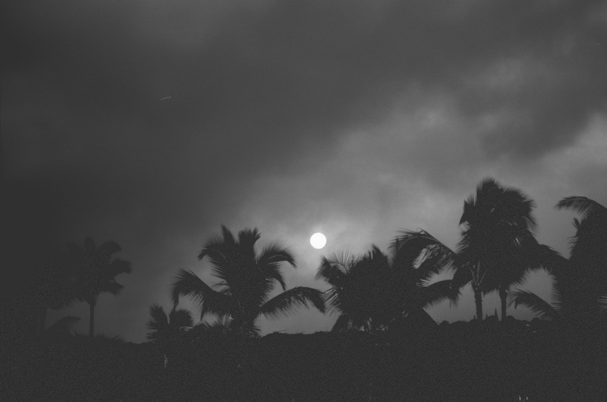 dancing in the moonlight