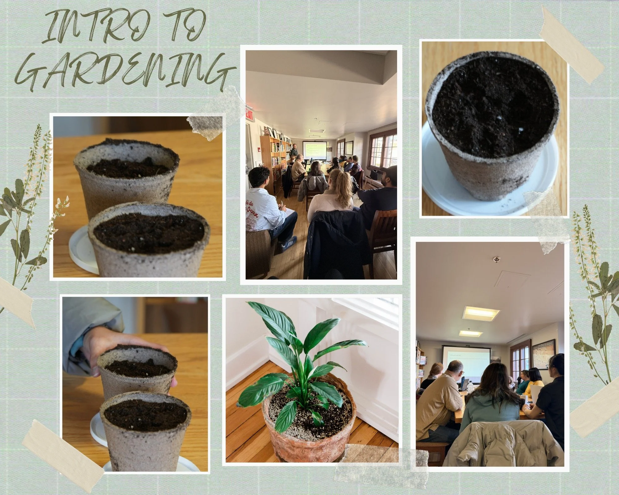 A big thank you to the @jasperlocalfoodsociety  for collaborating on such a thoughtful and engaging Intro to Gardening session. 🌱

We also appreciate all the clients who showed up, participated, and took the time to learn something new. 

It was gre