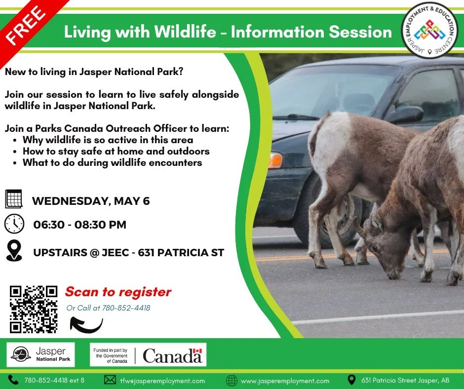 TOMORROW &ndash; LIVING WITH WILDLIFE SESSION

Living in Jasper means sharing space with wildlife. If you are new here, or still feel unsure around animals, this session is for you.

We will go over simple, practical ways to stay safe and calm around