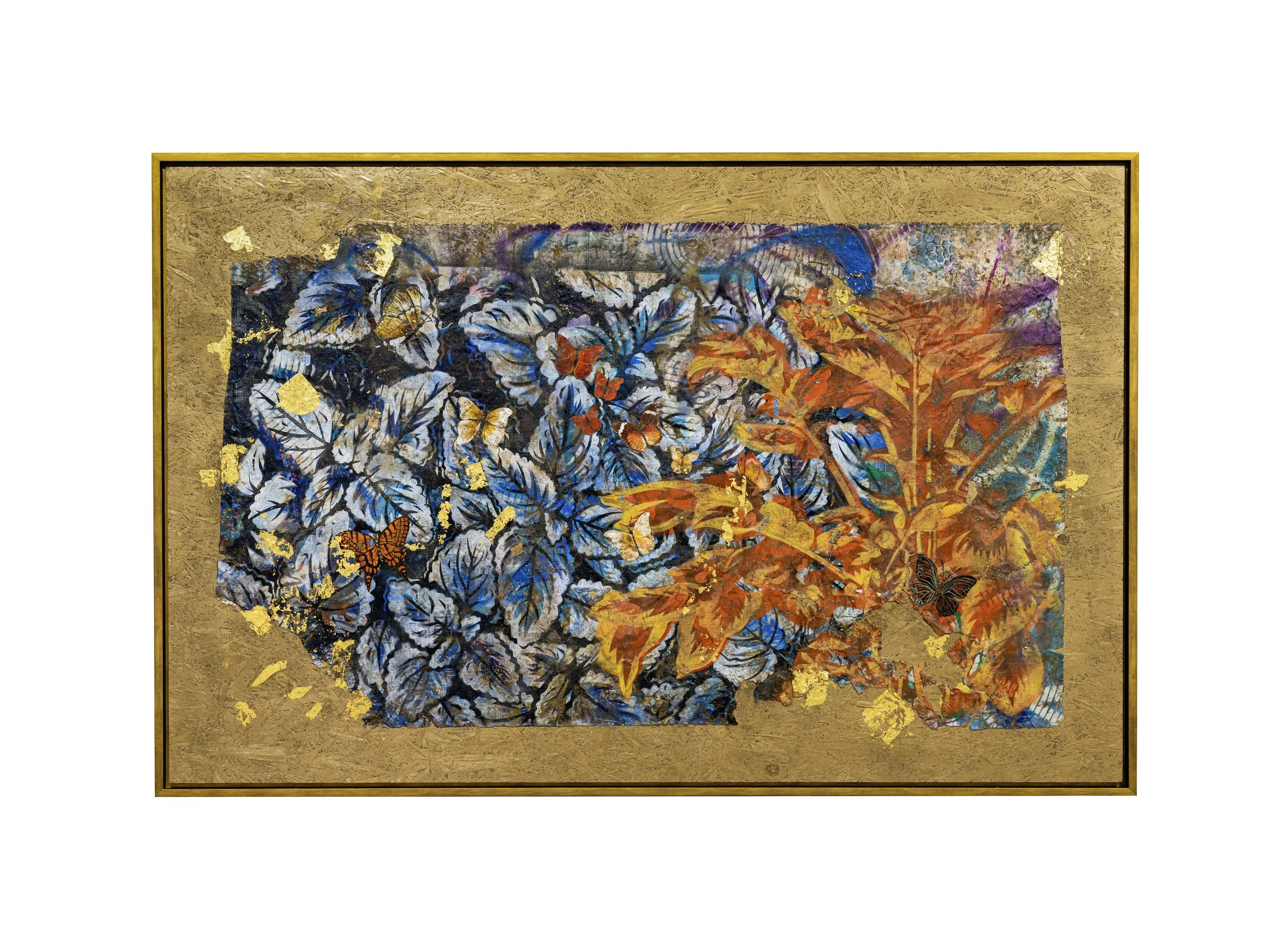 Flora e Fauna - Image 3