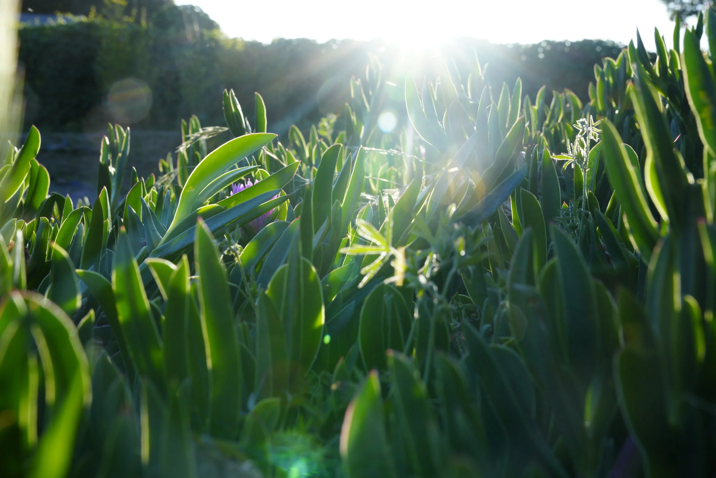 photo by blake the artist