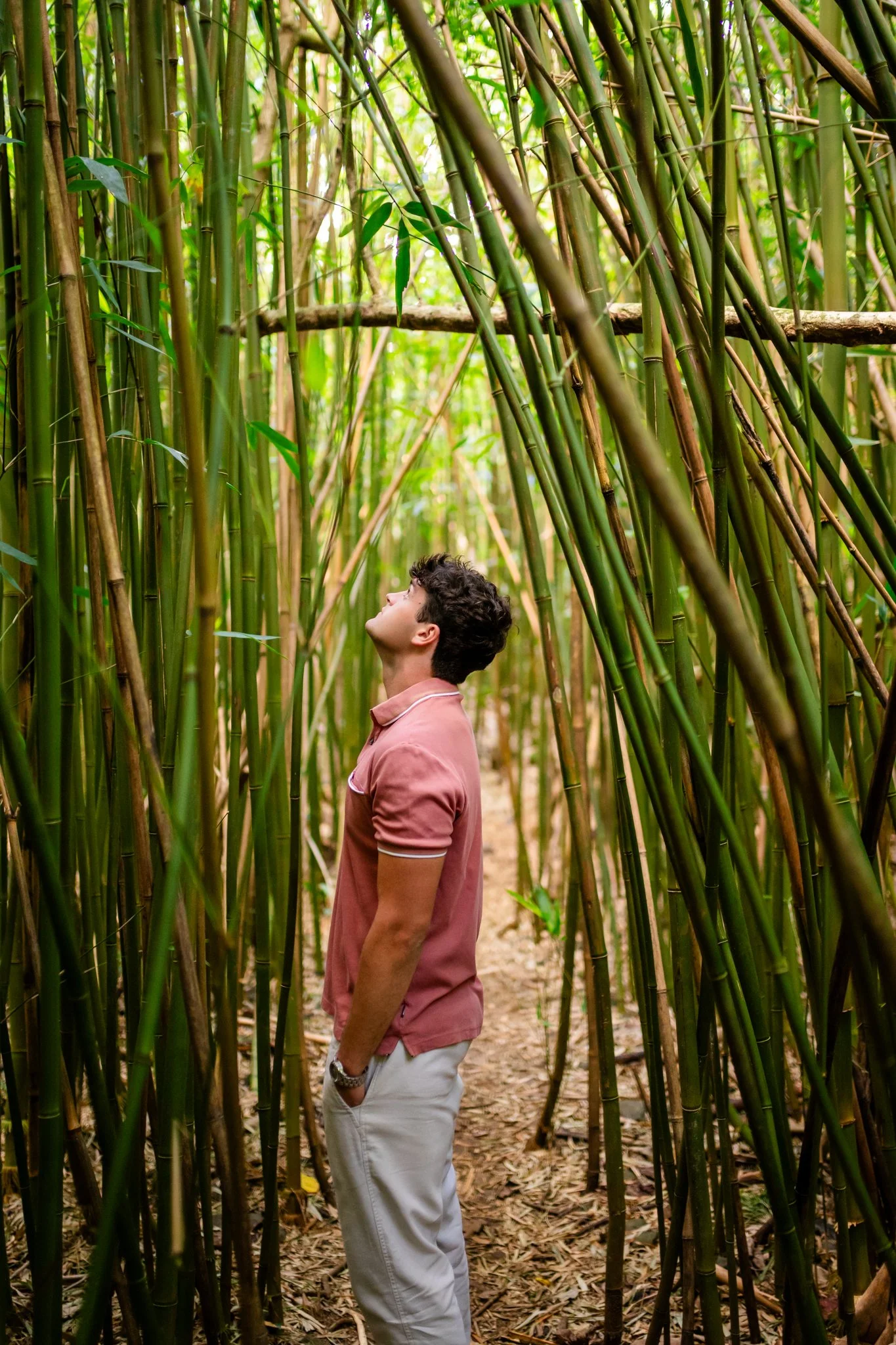 Aiden Senior Pictures - Trees-8.jpg