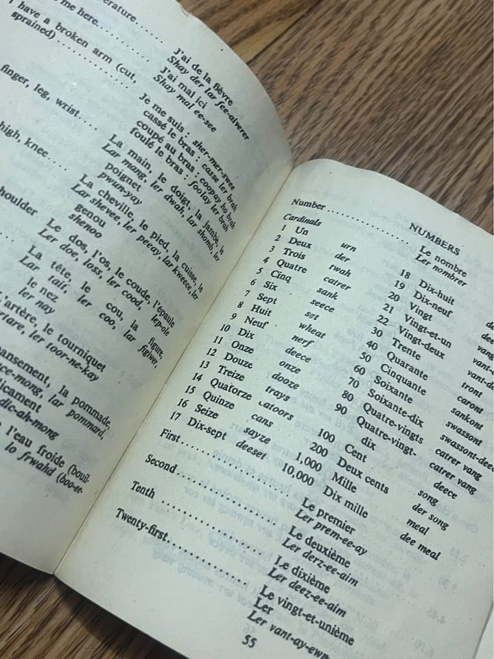 p7.jpg