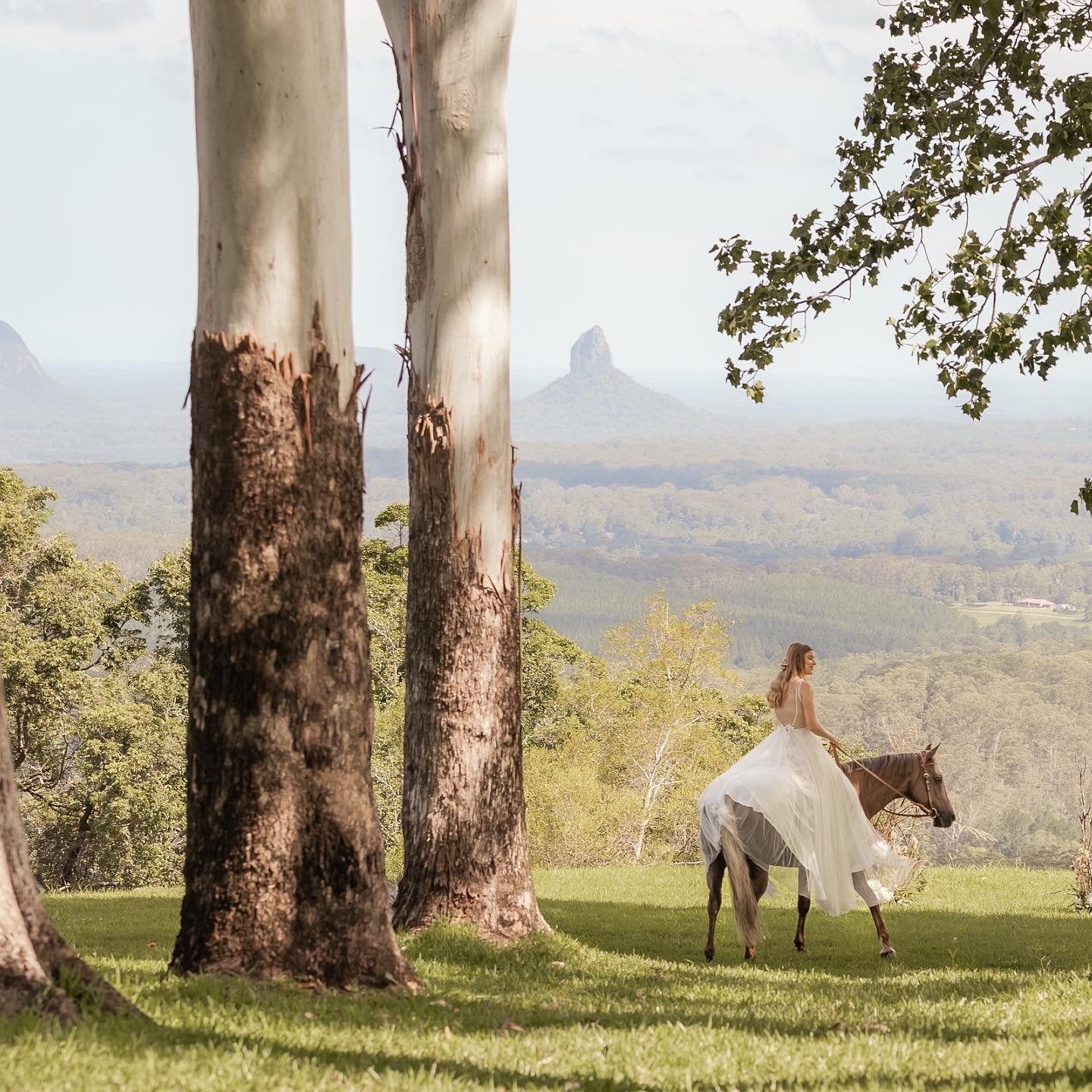 Western elegance! ✨✨
At the stunning @malenyorchard captured by @teeganrosephotography 

Let Sparkles &amp; Co transform you&rsquo;re visions into a reality, creating a celebration of timeless charm. 

DM us for horse hire options 

📸Photo shoots 
?