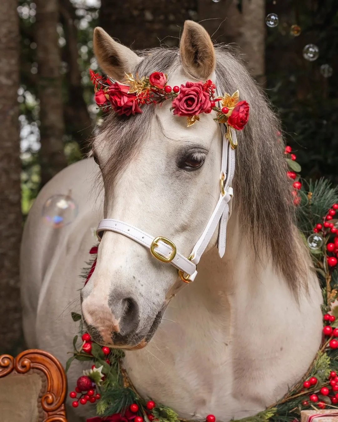 New team member alert ! 💕🦄
Bella has joined the Sparkles &amp; Co herd and is already melting hearts. 
She&rsquo;s a gorgeous grey welsh mountain pony and is available for traditional &amp; Unicorn experiences.

💌 hello@sparklesandco.com.au

https
