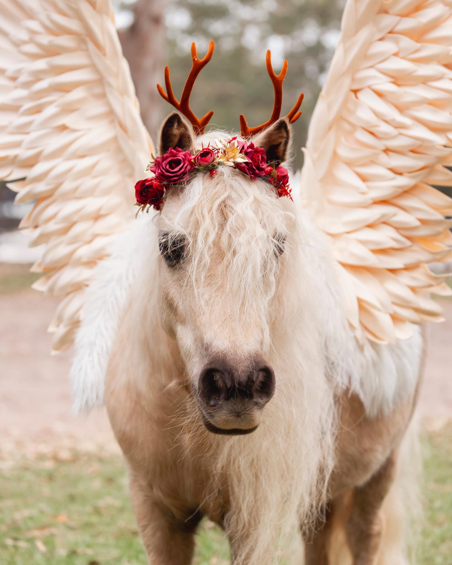 Meet our little Cherry Blossom 🍒
Or if you have met her you&rsquo;d know she&rsquo;s an absolute rock star! ✨✨

With the festive season fast approaching, wanted to say a massive thank you for all your support this year. 

Excited to create magical e