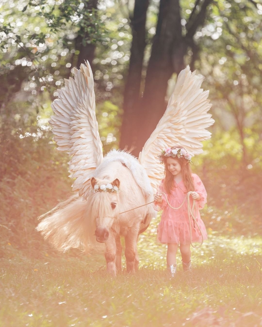Couldn&rsquo;t help but share Hailey's adorable shoot with our little Pegasus Cherry Blossom💞

We custom traditional, western, Unicorn or Pegasus-themed portrait shoots &amp; experiences to create a magical session for you &amp; your family in a fun