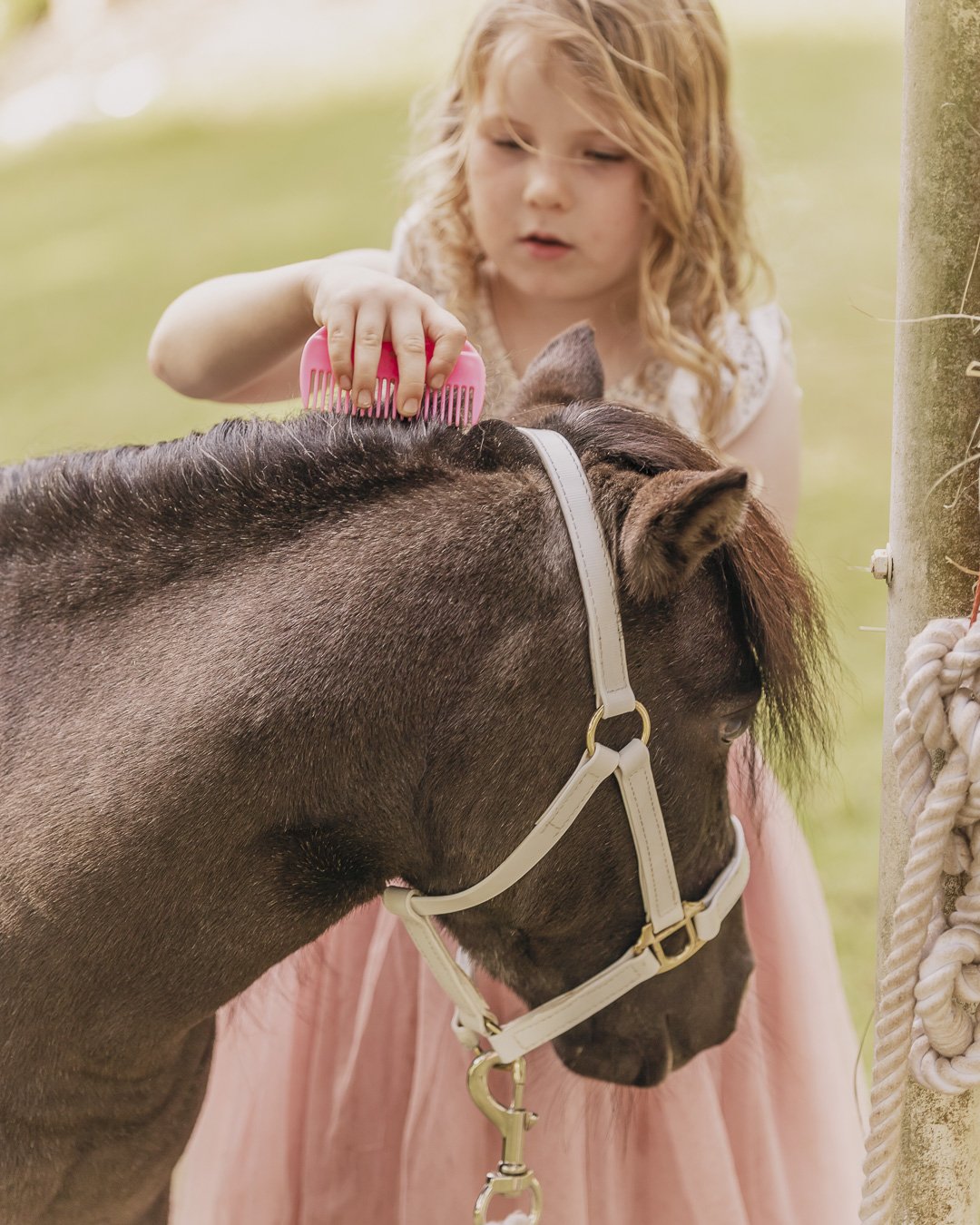 Sparkles&Co_OvertheRainbow_103.jpg