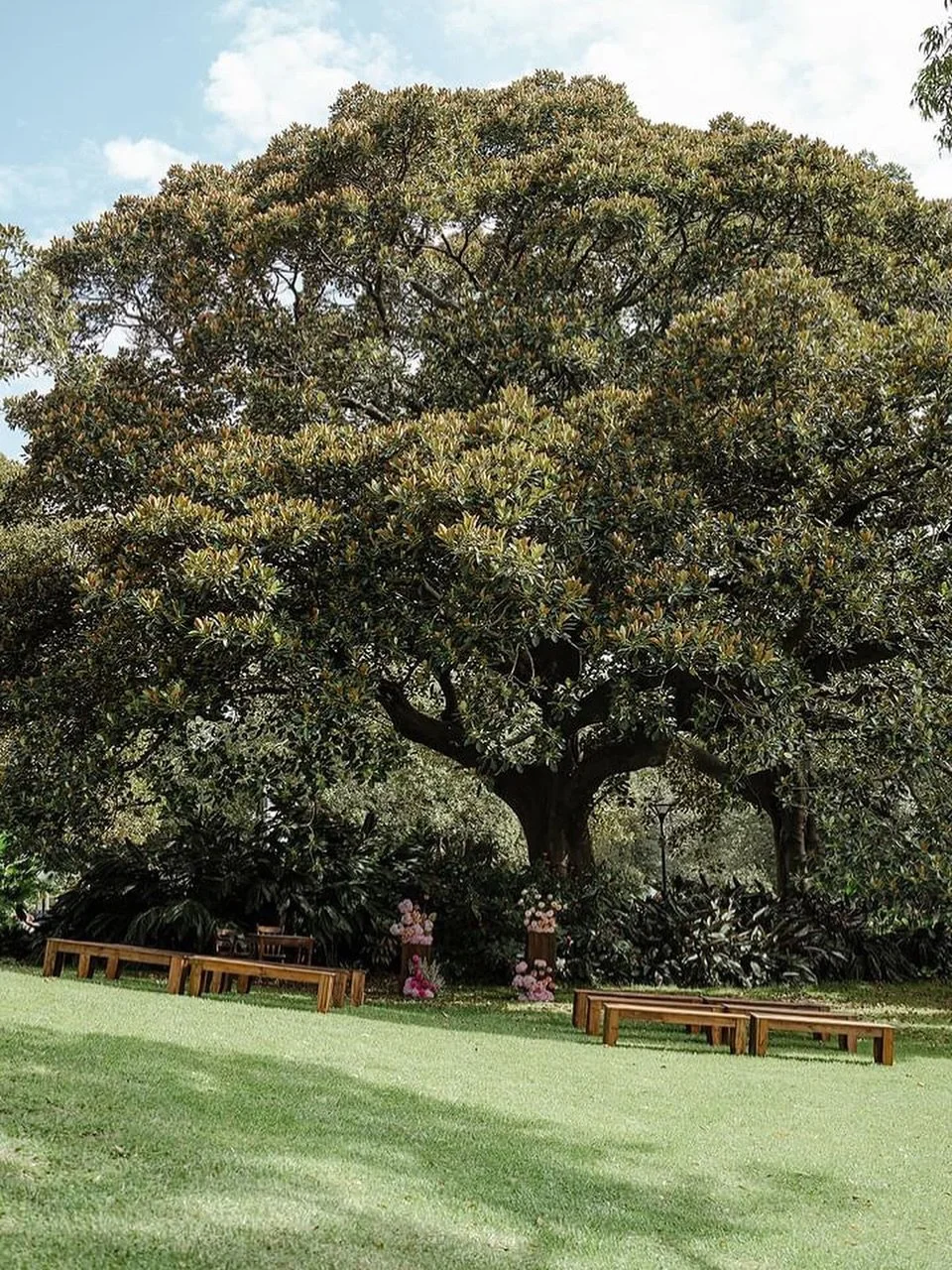 Our wooden furniture collection complimented by colourful blooms and a romantic setting at @terraceonthedomain