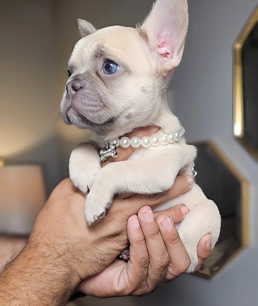 2024-01-15-09-52-05-087 (3).jpg